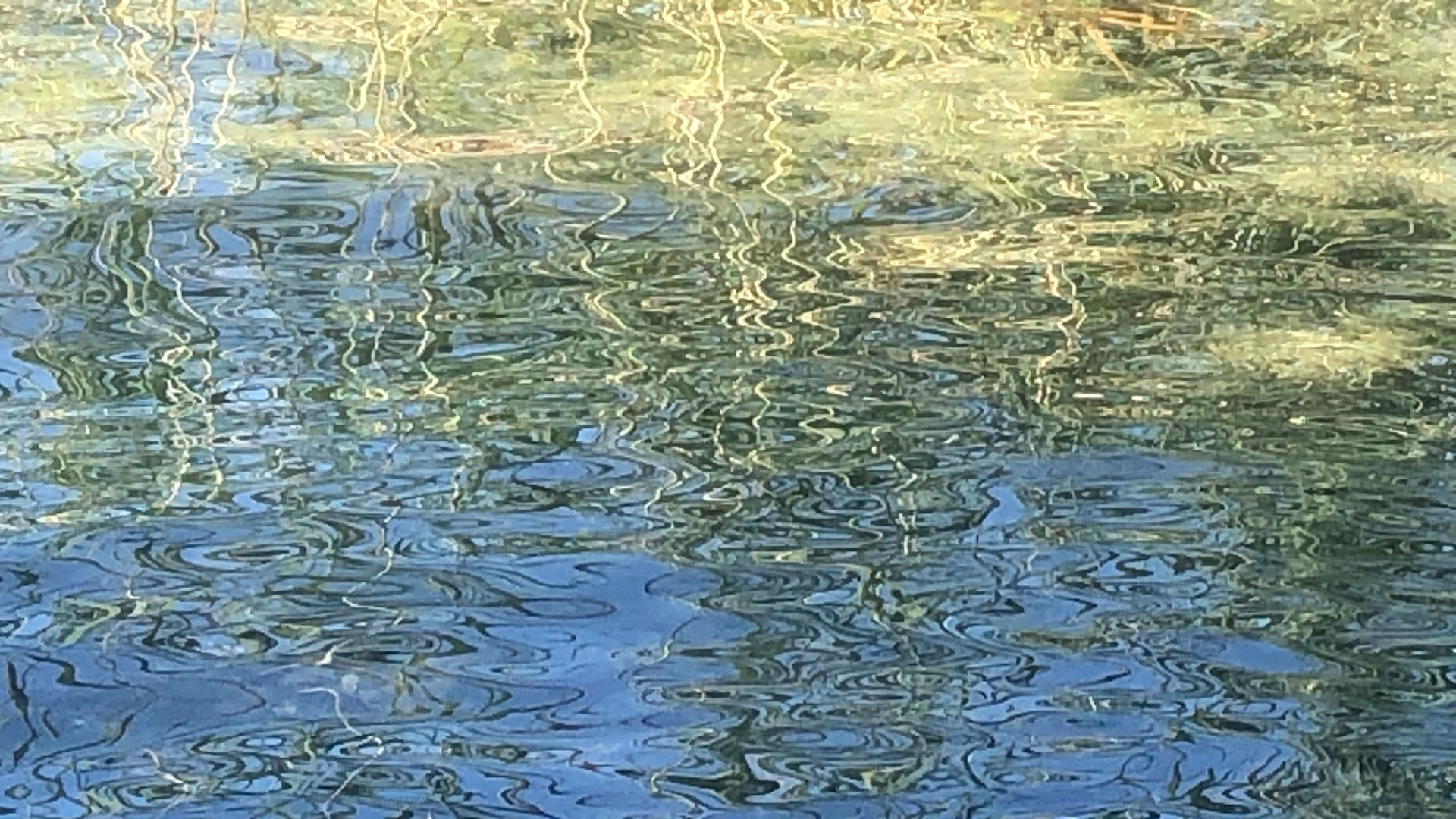 2023-08-19 Licht und Wasser am Stechlin (Fieldrecording Video 4)