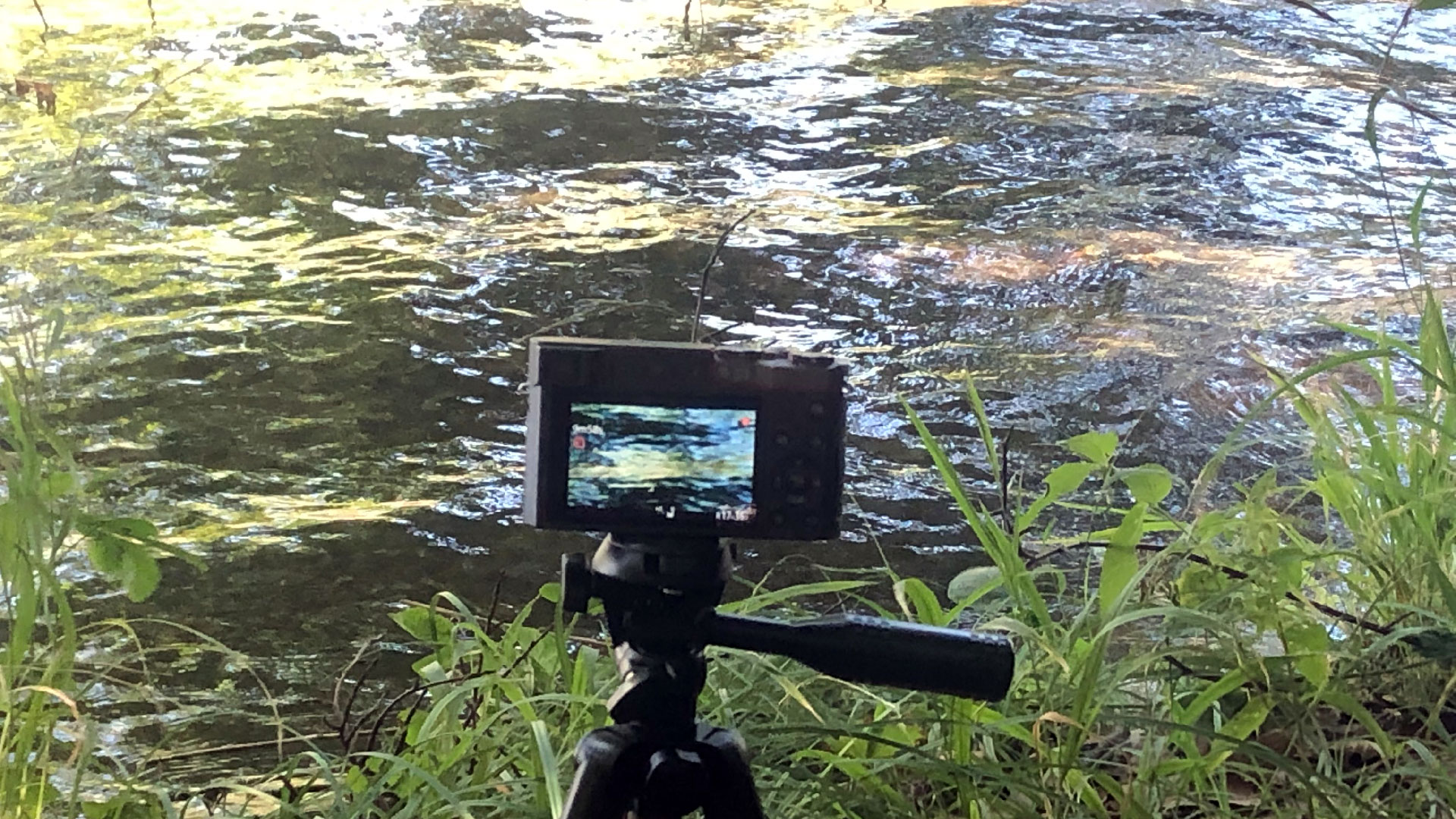 2023-08-19 Licht und Wasser am Stechlin (Fieldrecording Video 4)