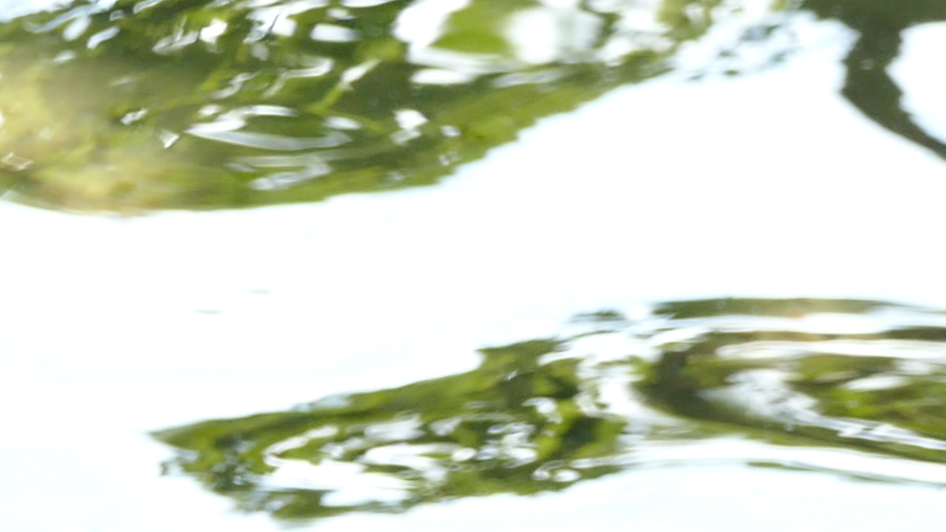 2023-08-19 und -20 Licht und Wasser am Stechlin (Fieldrecording Video)