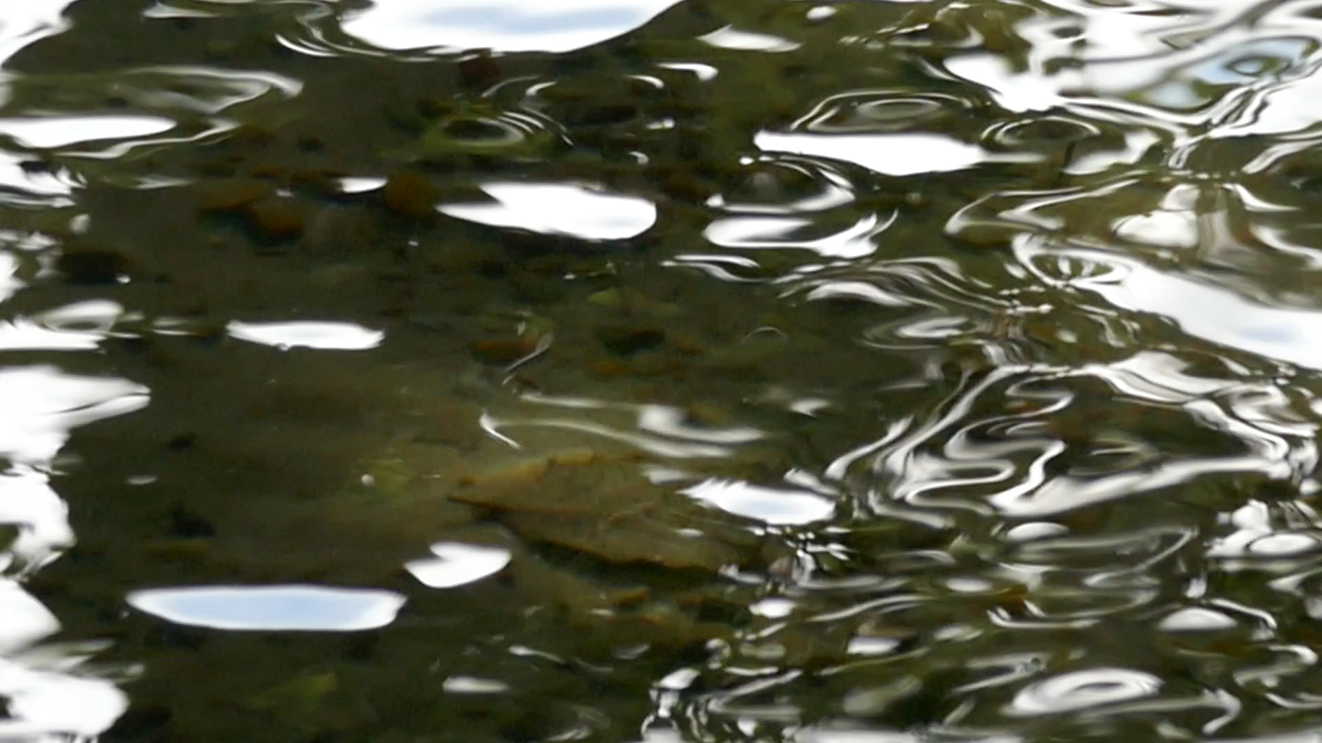 2023-08-19 und -20 Licht und Wasser am Stechlin (Fieldrecording Video)