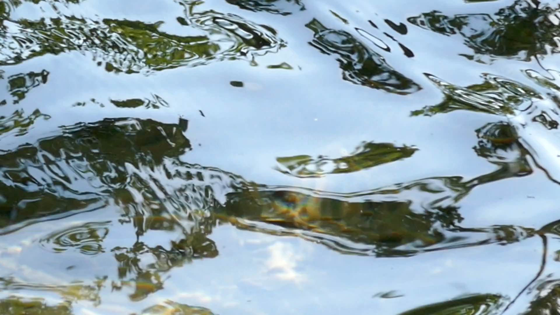 2023-08-19 und -20 Licht und Wasser am Stechlin (Fieldrecording Video)