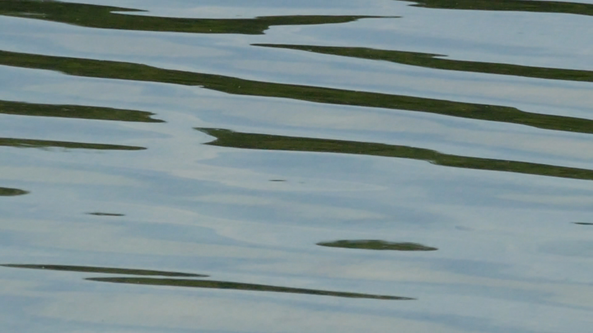 2023-08-19 und -20 Licht und Wasser am Stechlin (Fieldrecording Video)