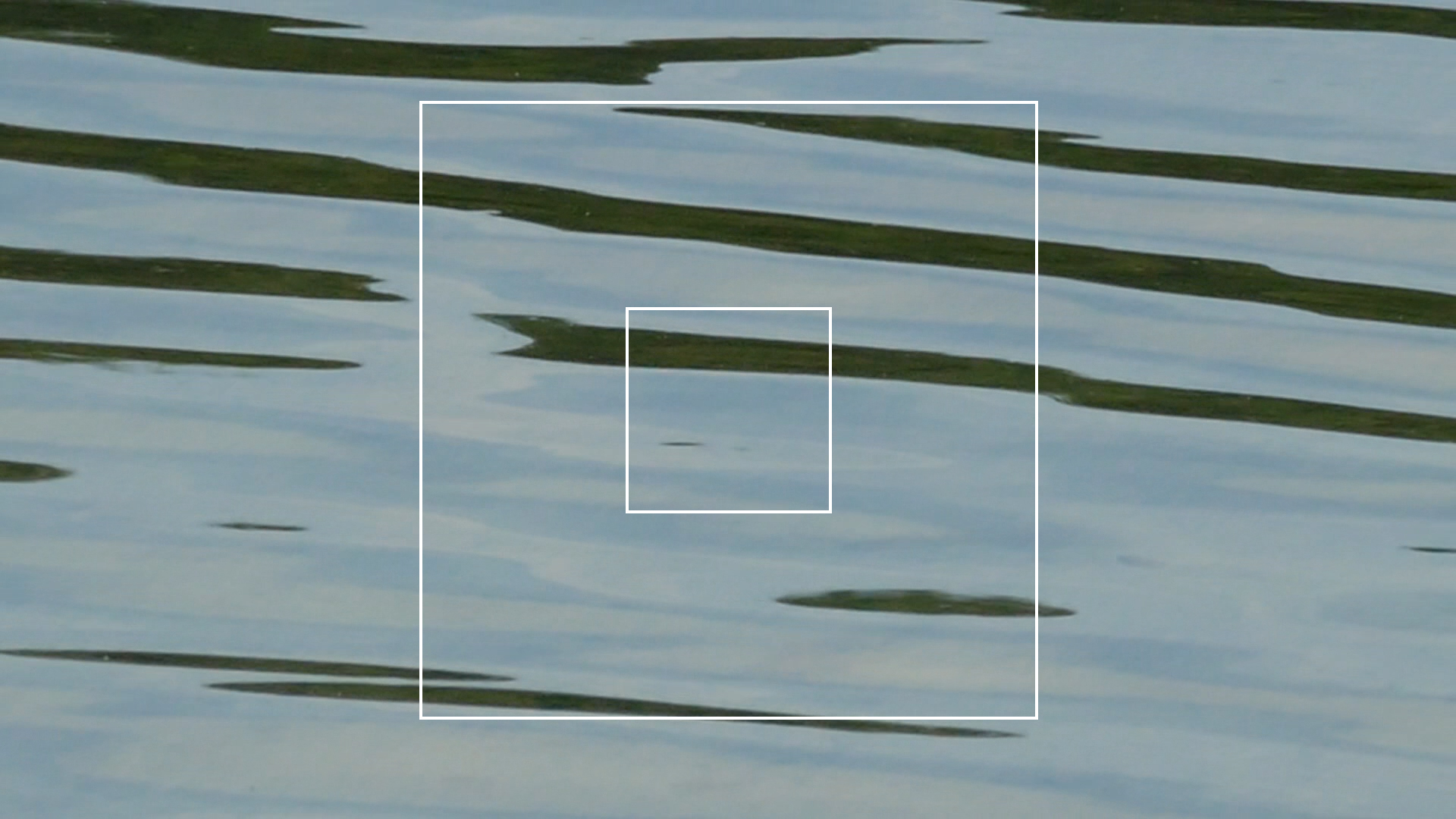 2023-08-19 und -20 Licht und Wasser am Stechlin (Fieldrecording Video)