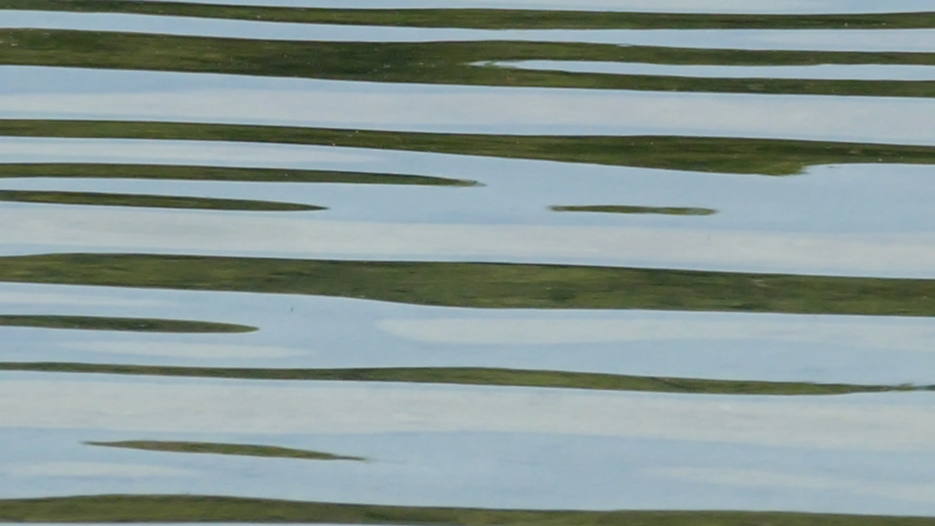 2023-08-19 und -20 Licht und Wasser am Stechlin (Fieldrecording Video)