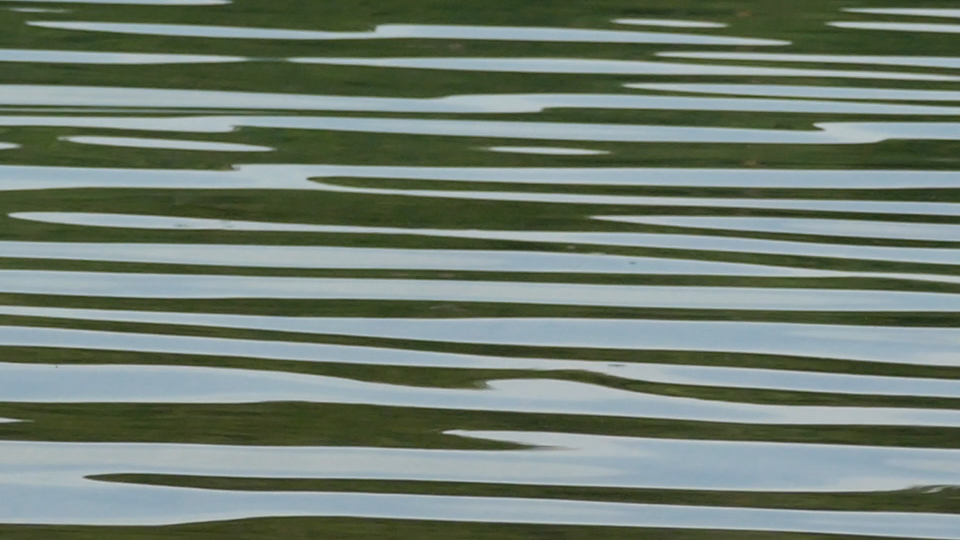 2023-08-19 und -20 Licht und Wasser am Stechlin (Fieldrecording Video)