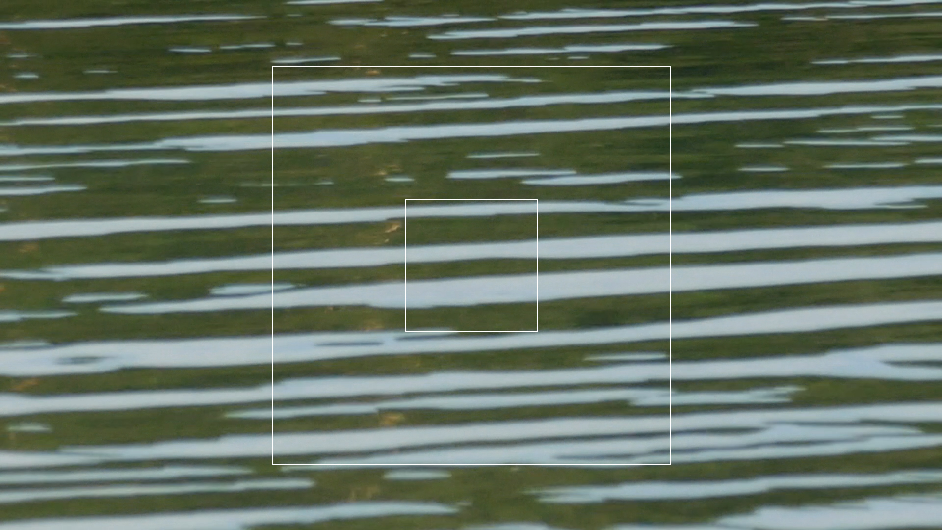 2023-08-19 und -20 Licht und Wasser am Stechlin (Fieldrecording Video)