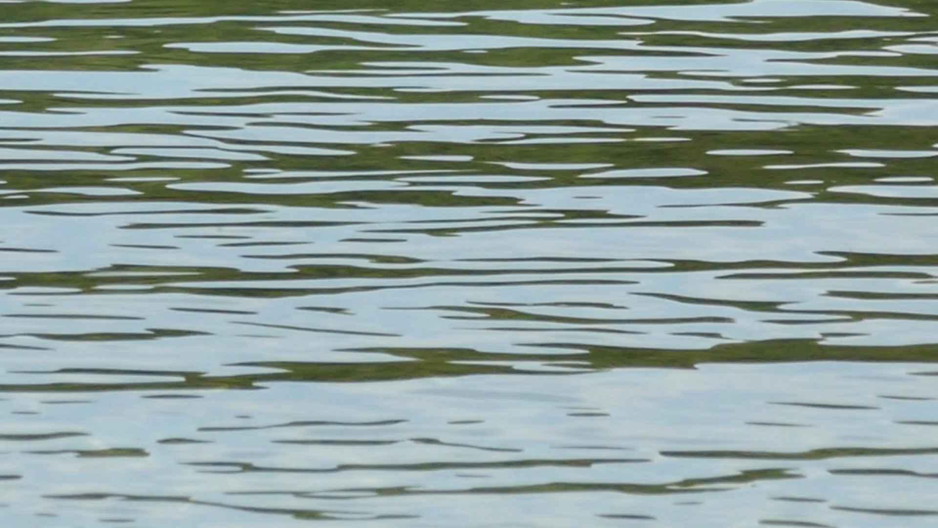 2023-08-19 und -20 Licht und Wasser am Stechlin (Fieldrecording Video)