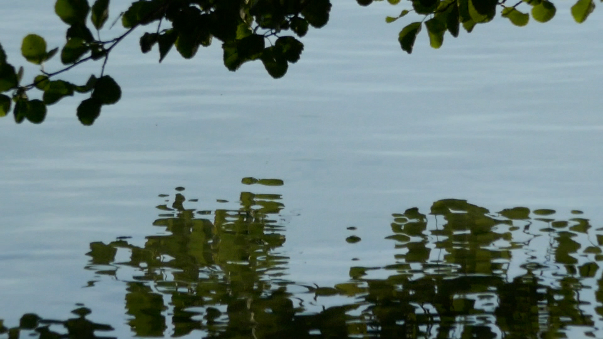 2023-08-19 und -20 Licht und Wasser am Stechlin (Fieldrecording Video)
