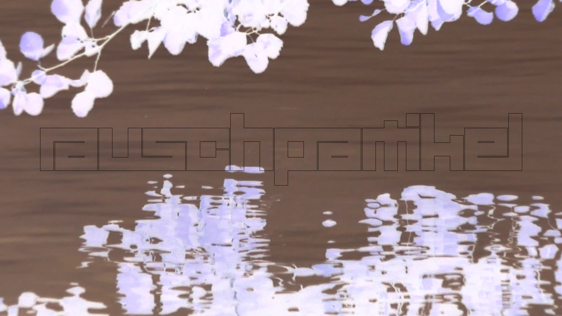 2023-08-19 und -20 Licht und Wasser am Stechlin (Fieldrecording Video)