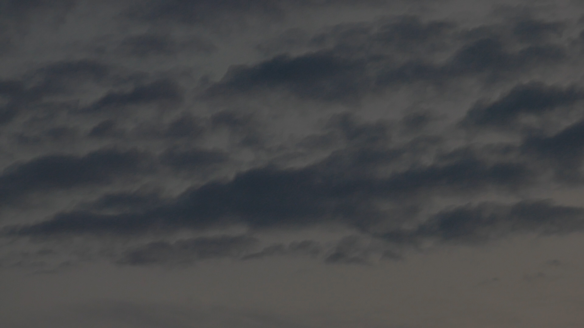 2023-08-19 und -20 Licht und Wasser am Stechlin (Fieldrecording Video)