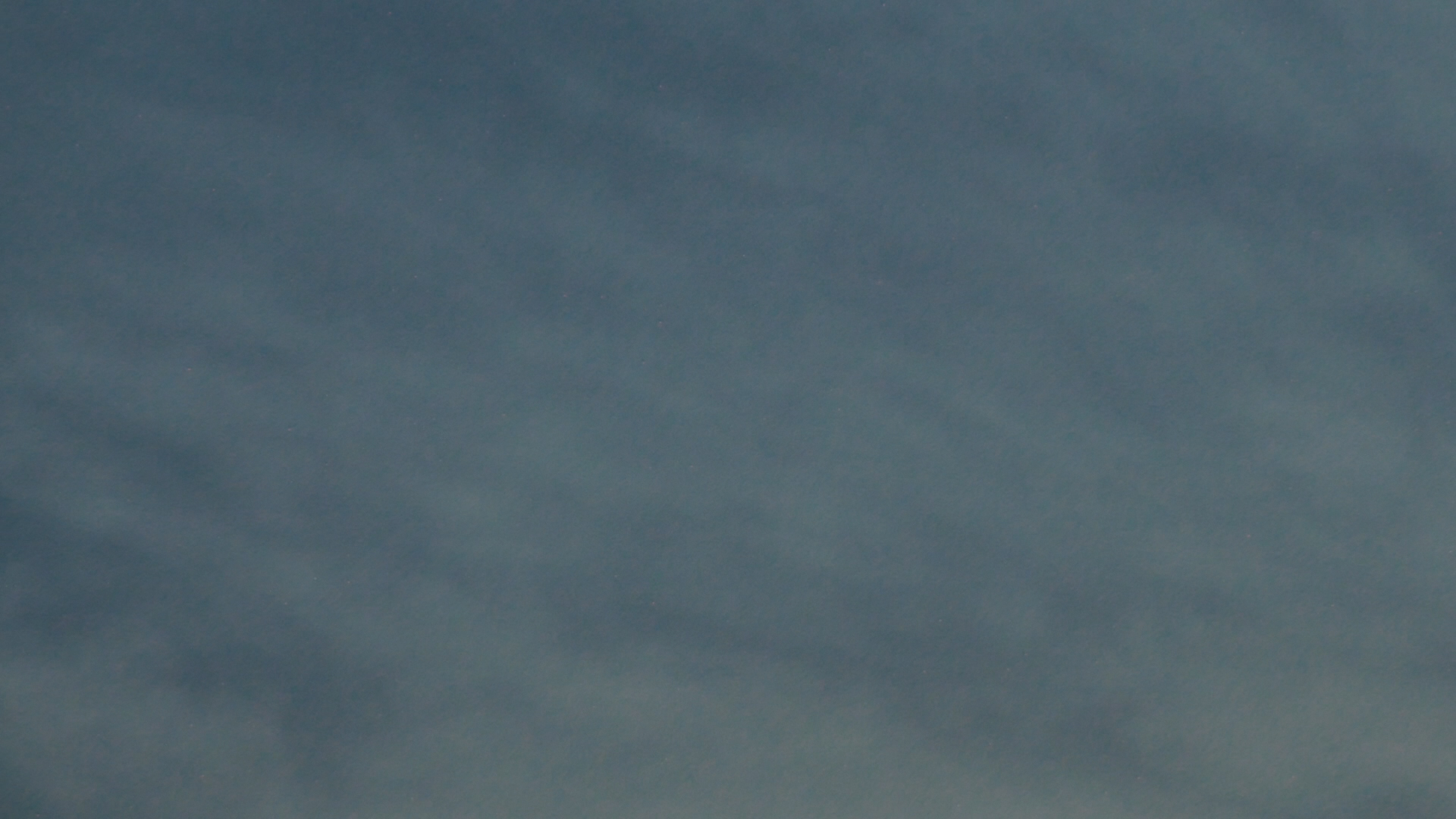 2023-08-19 und -20 Licht und Wasser am Stechlin (Fieldrecording Video)