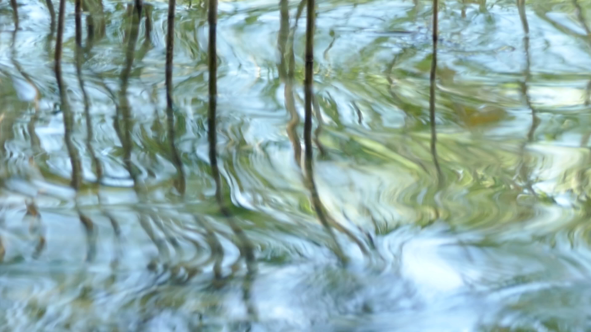 2023-08-19 und -20 Licht und Wasser am Stechlin (Fieldrecording Video)