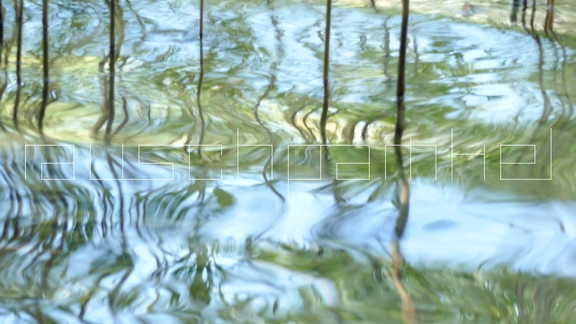 2023-08-19 und -20 Licht und Wasser am Stechlin (Fieldrecording Video)