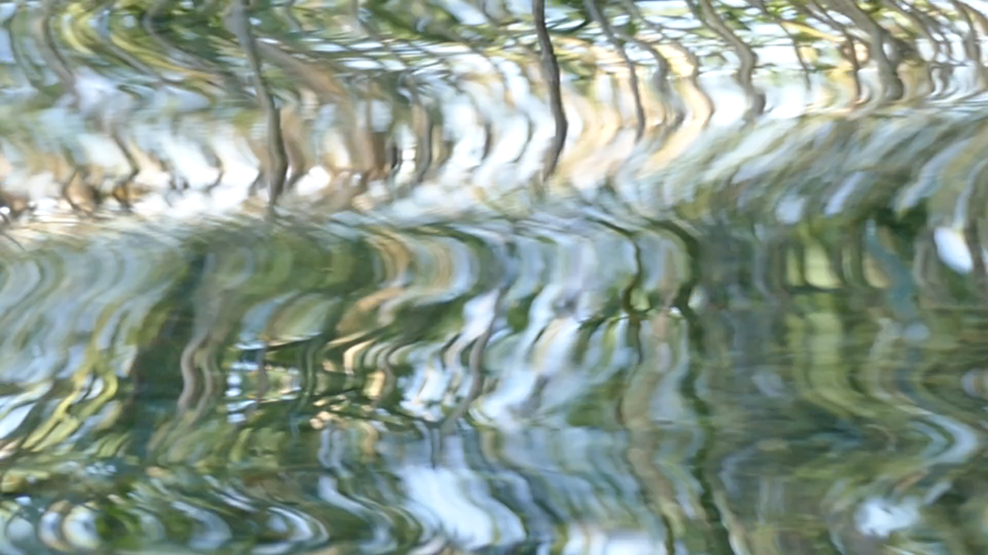 2023-08-19 und -20 Licht und Wasser am Stechlin (Fieldrecording Video)