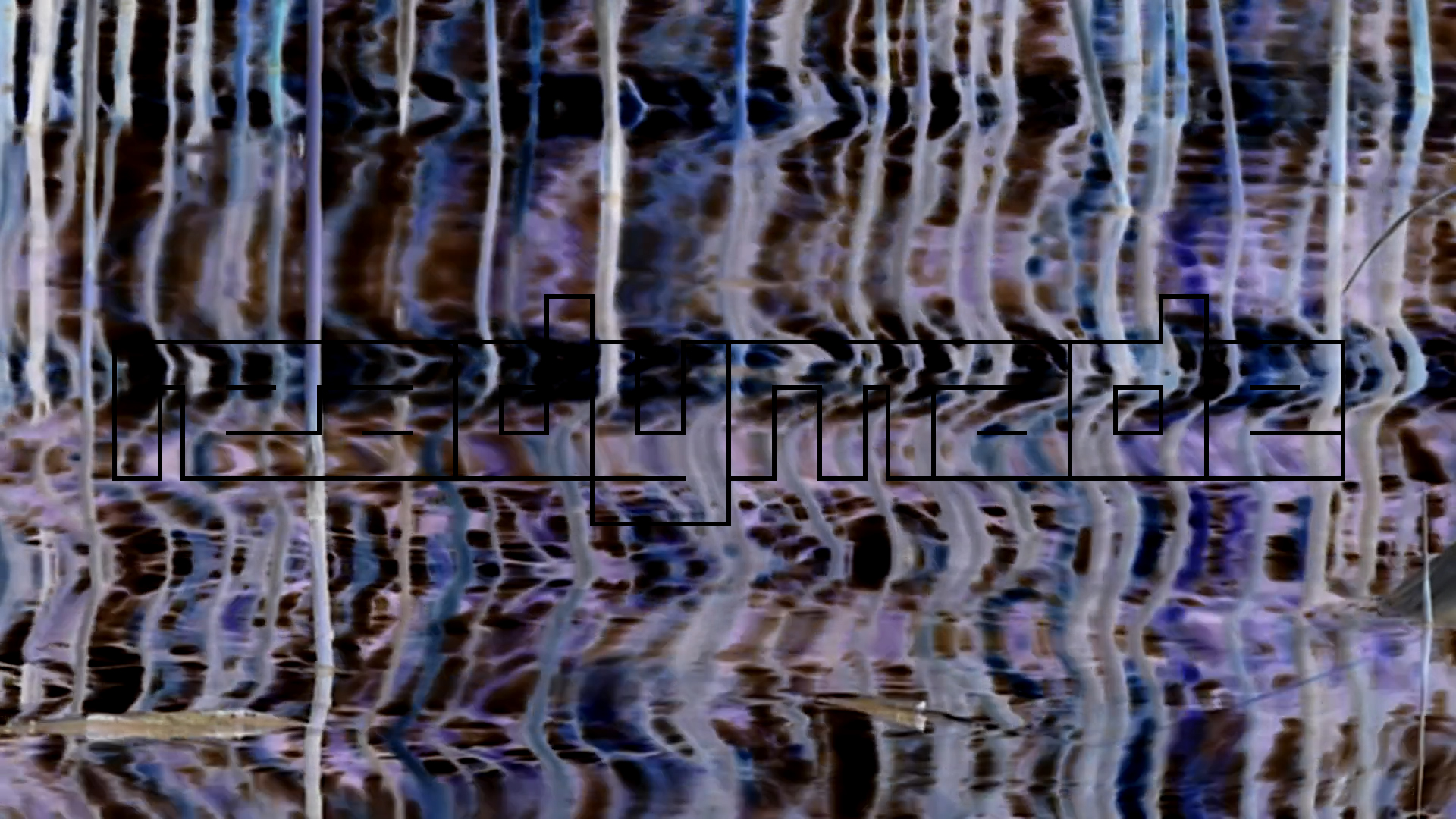 2023-08-19 und -20 Licht und Wasser am Stechlin (Fieldrecording Video)