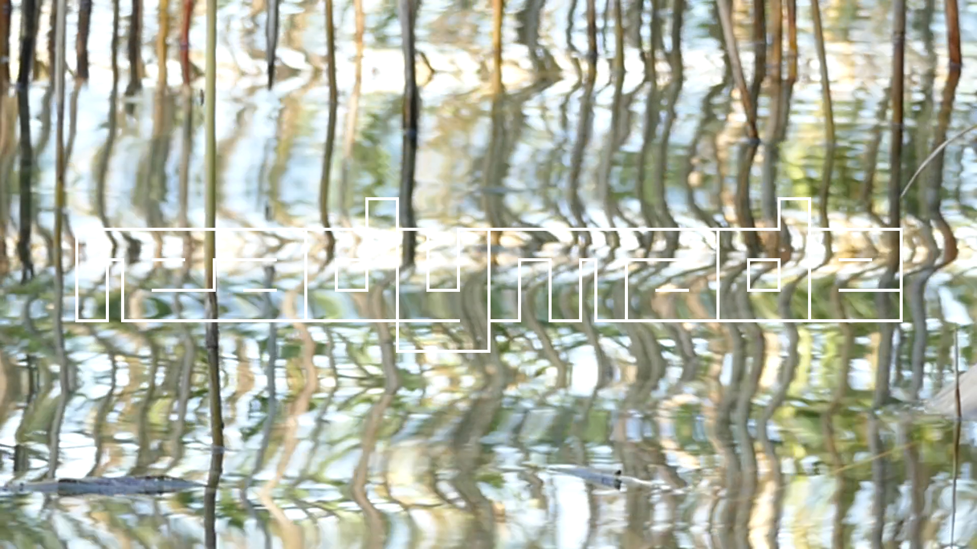 2023-08-19 und -20 Licht und Wasser am Stechlin (Fieldrecording Video)