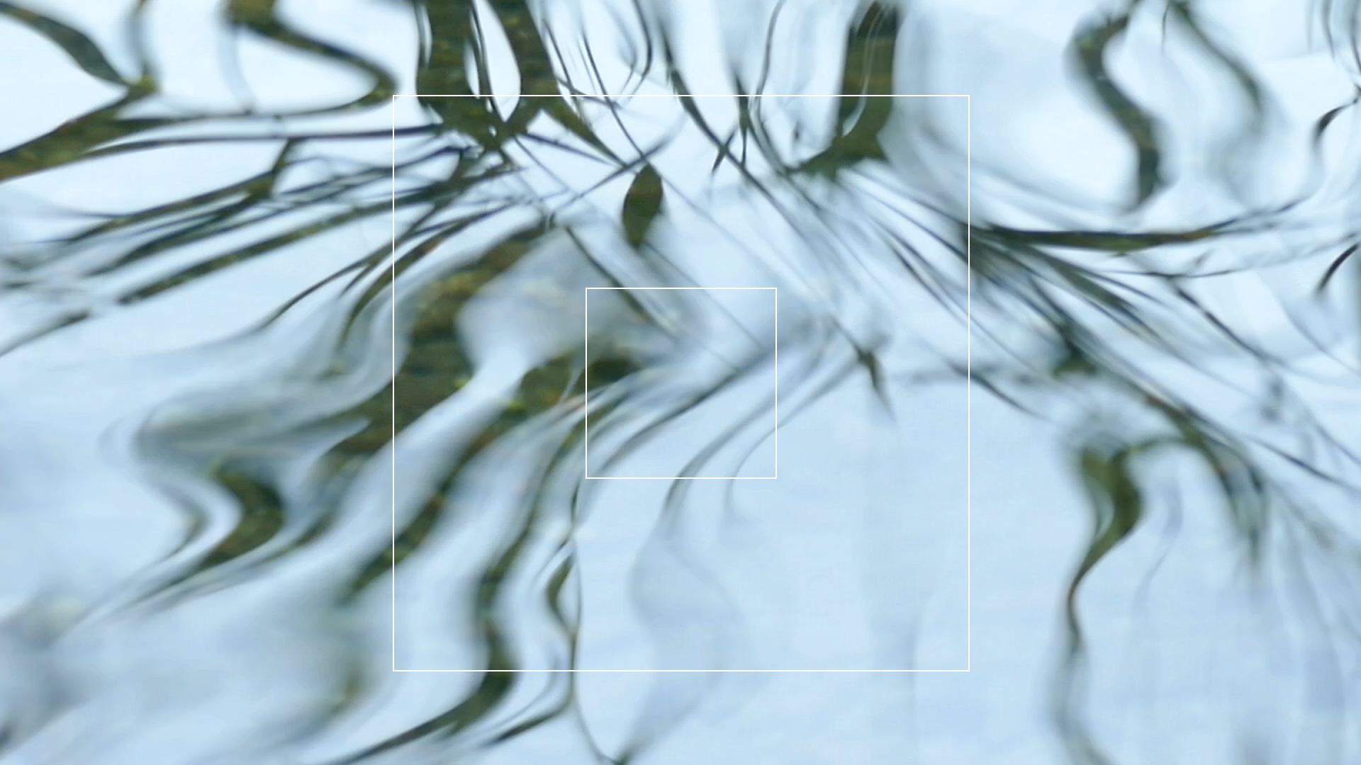 2023-08-19 und -20 Licht und Wasser am Stechlin (Fieldrecording Video)