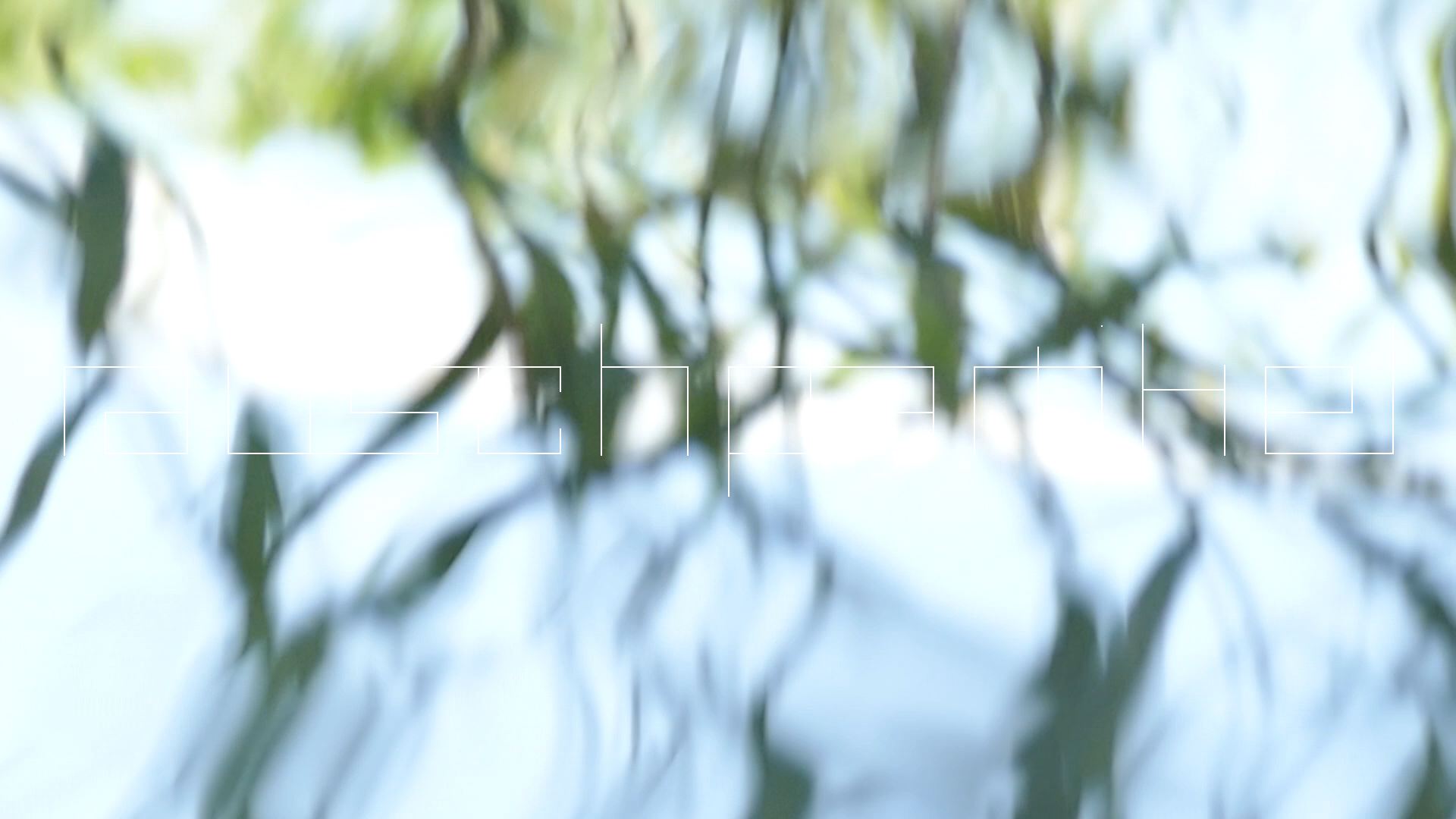 2023-08-19 und -20 Licht und Wasser am Stechlin (Fieldrecording Video)