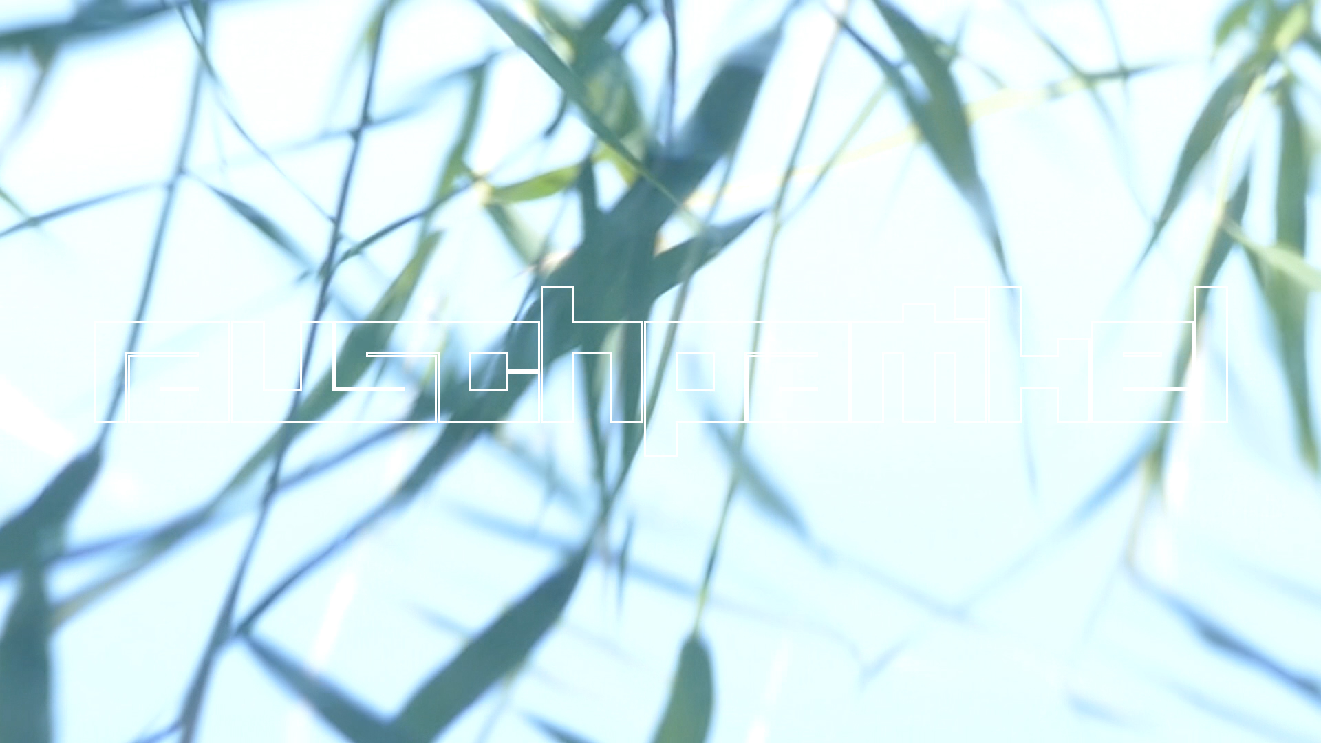 2023-08-19 und -20 Licht und Wasser am Stechlin (Fieldrecording Video)