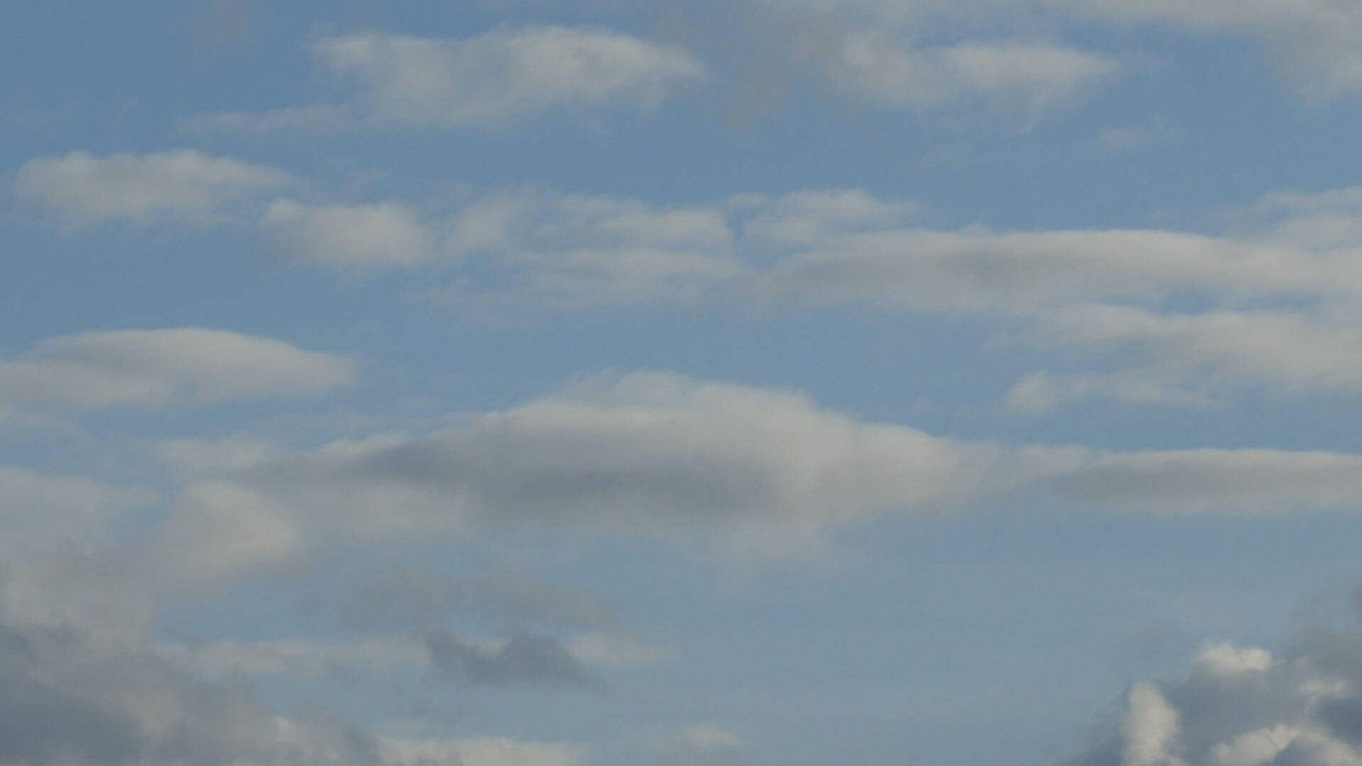 2023-09 grau schattiert (Fieldrecording Video)