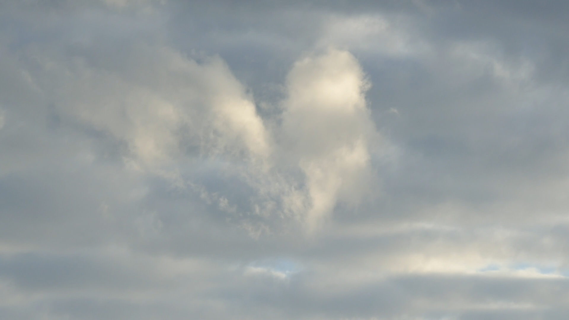 2023-09 grau schattiert (Fieldrecording Video)