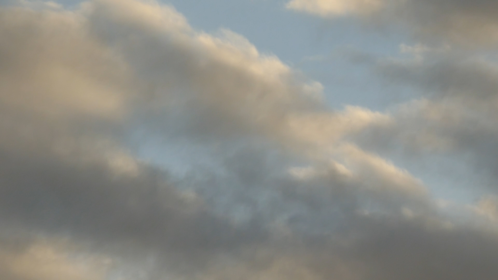 2023-09 grau schattiert (Fieldrecording Video)