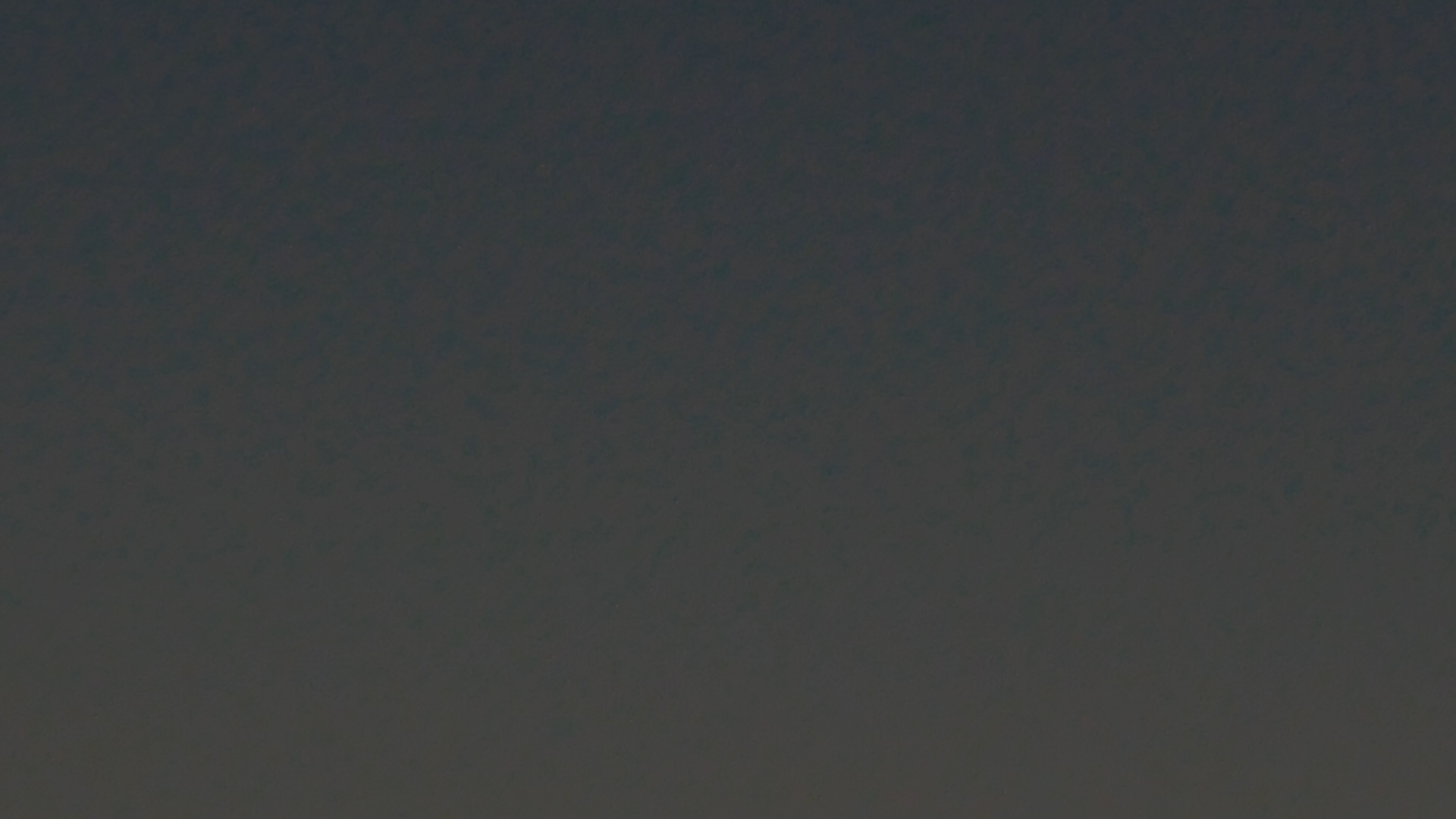 2023-09 grau schattiert (Fieldrecording Video)