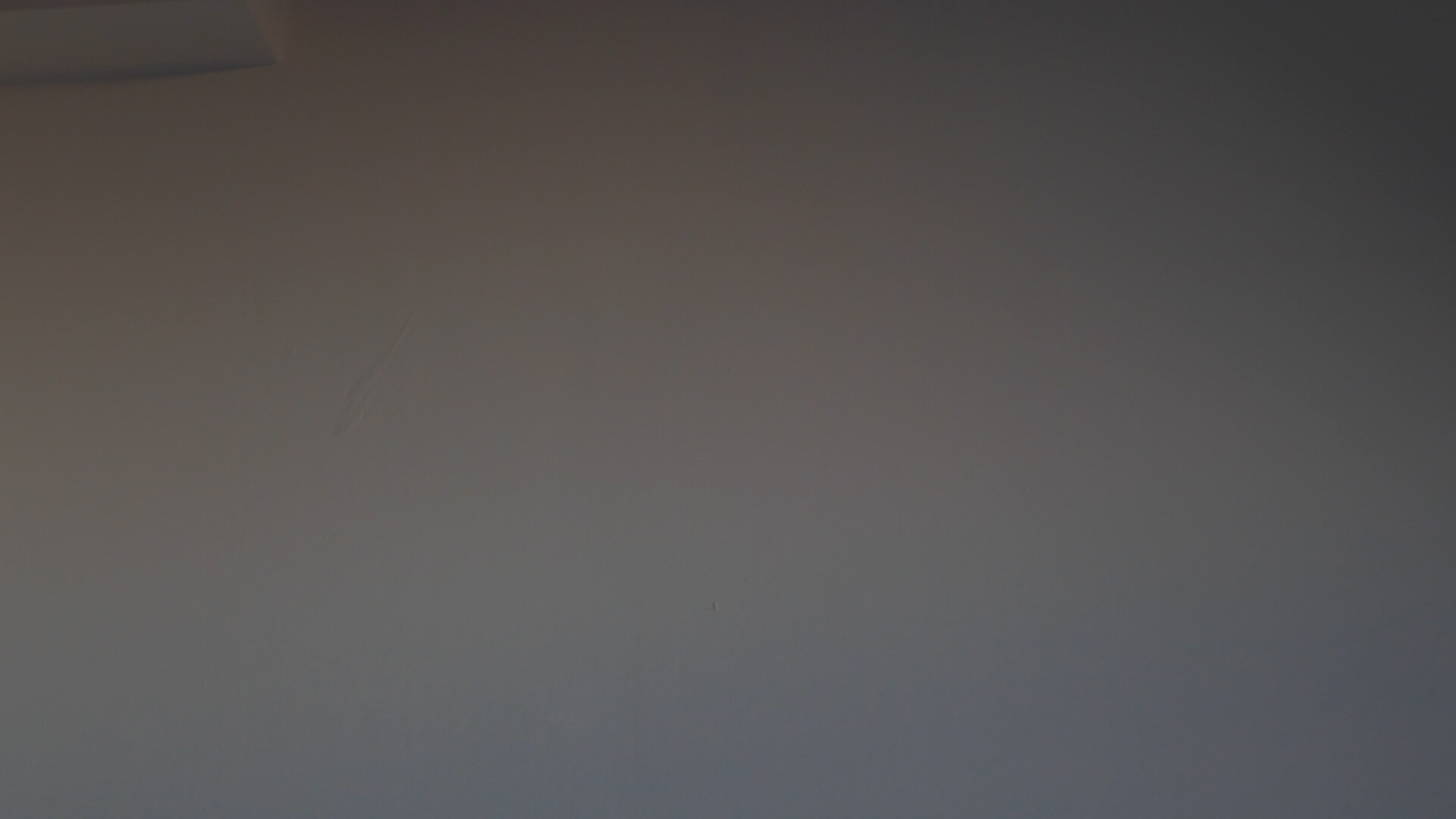 2023-09 grau schattiert (Fieldrecording Video)