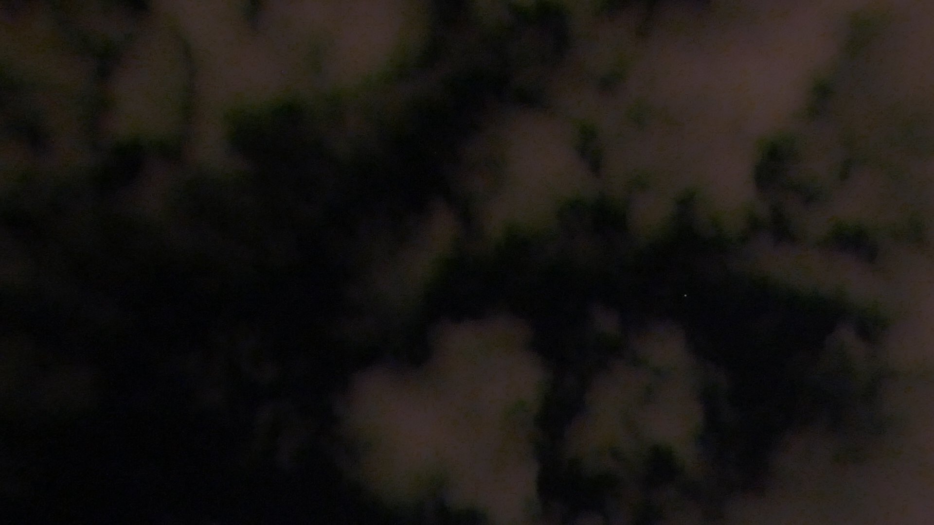 2023-09 grau schattiert (Fieldrecording Video)