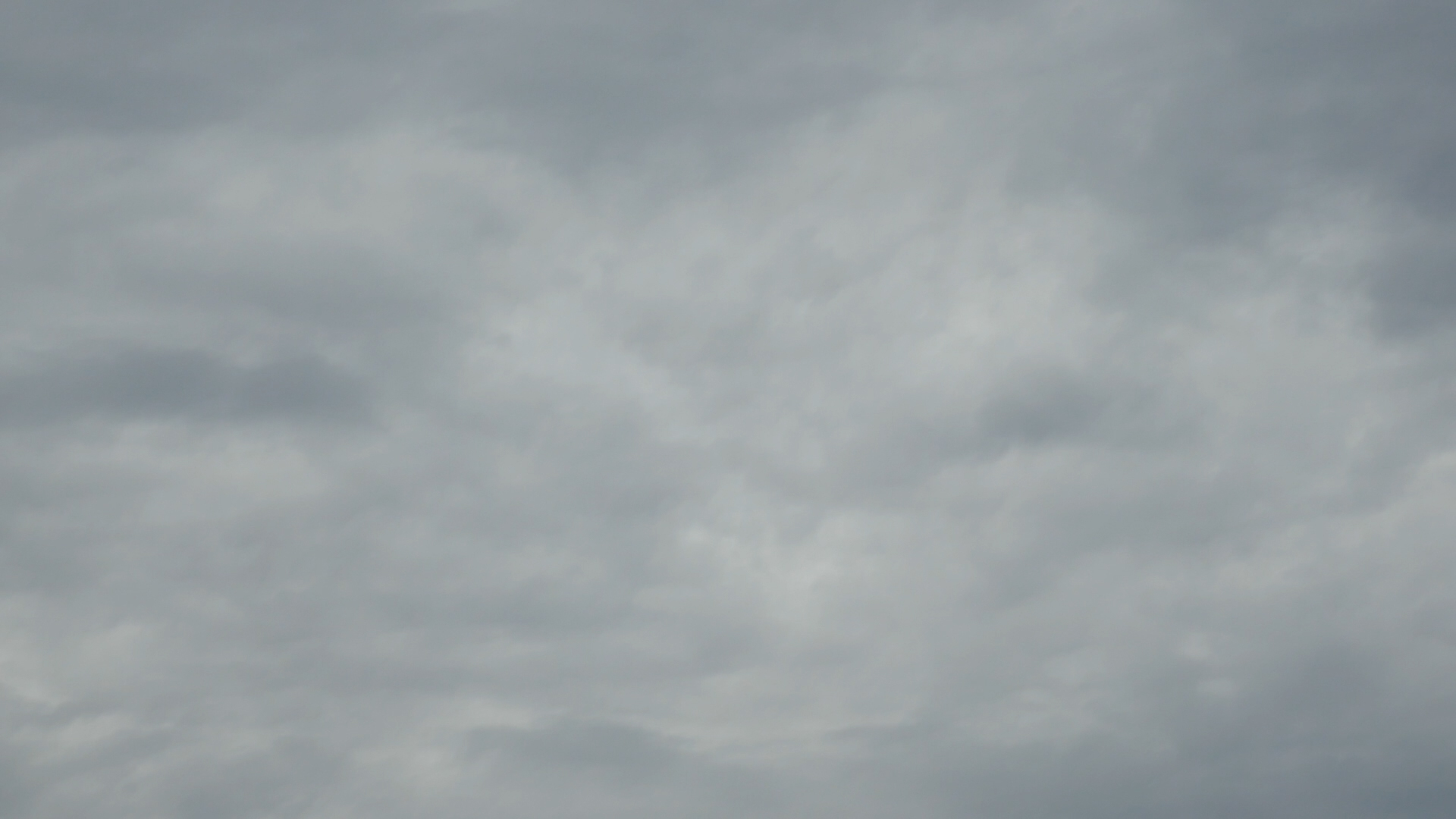 2023-09 grau schattiert (Fieldrecording Video)