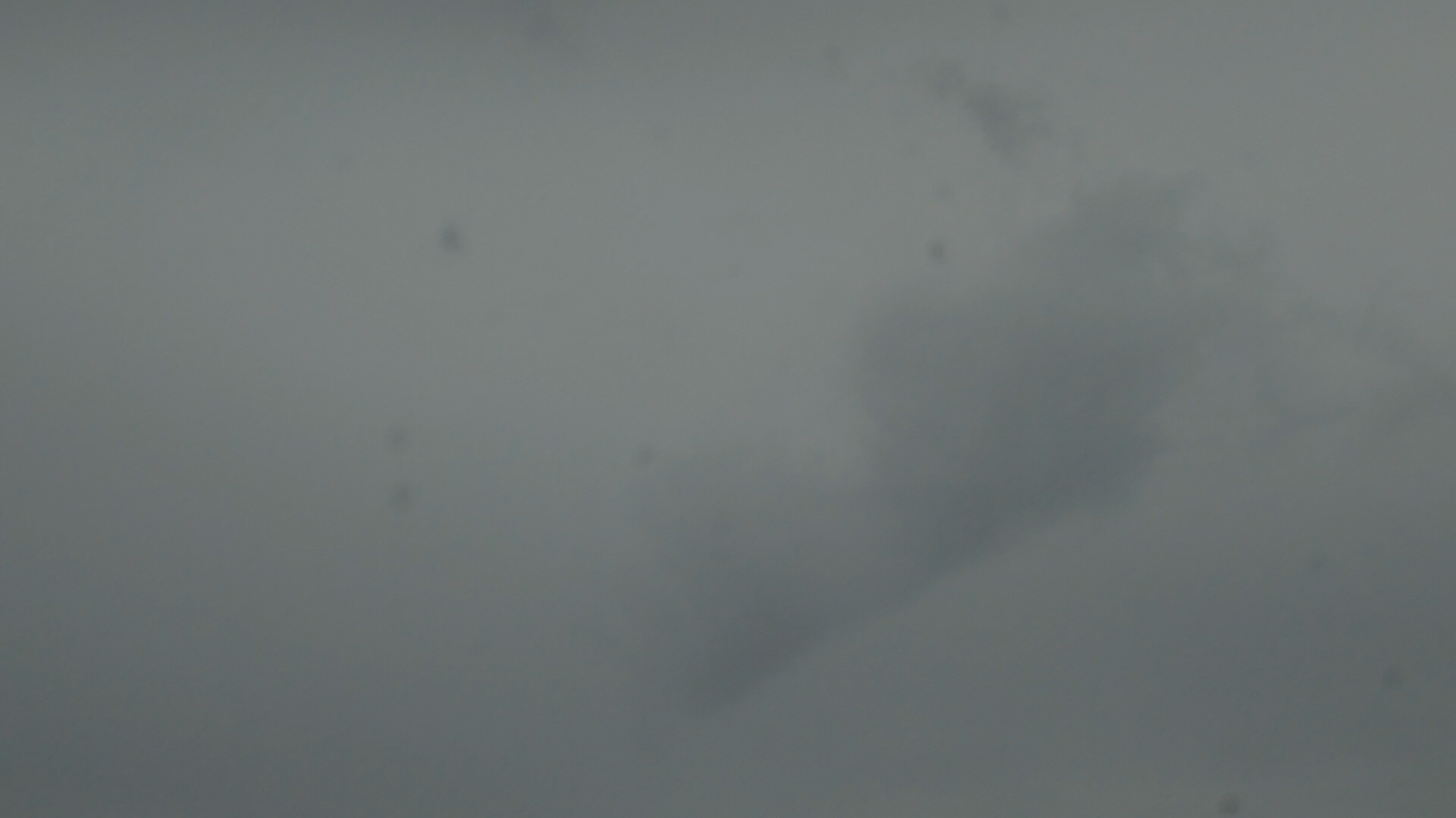 2023-09 grau schattiert (Fieldrecording Video)