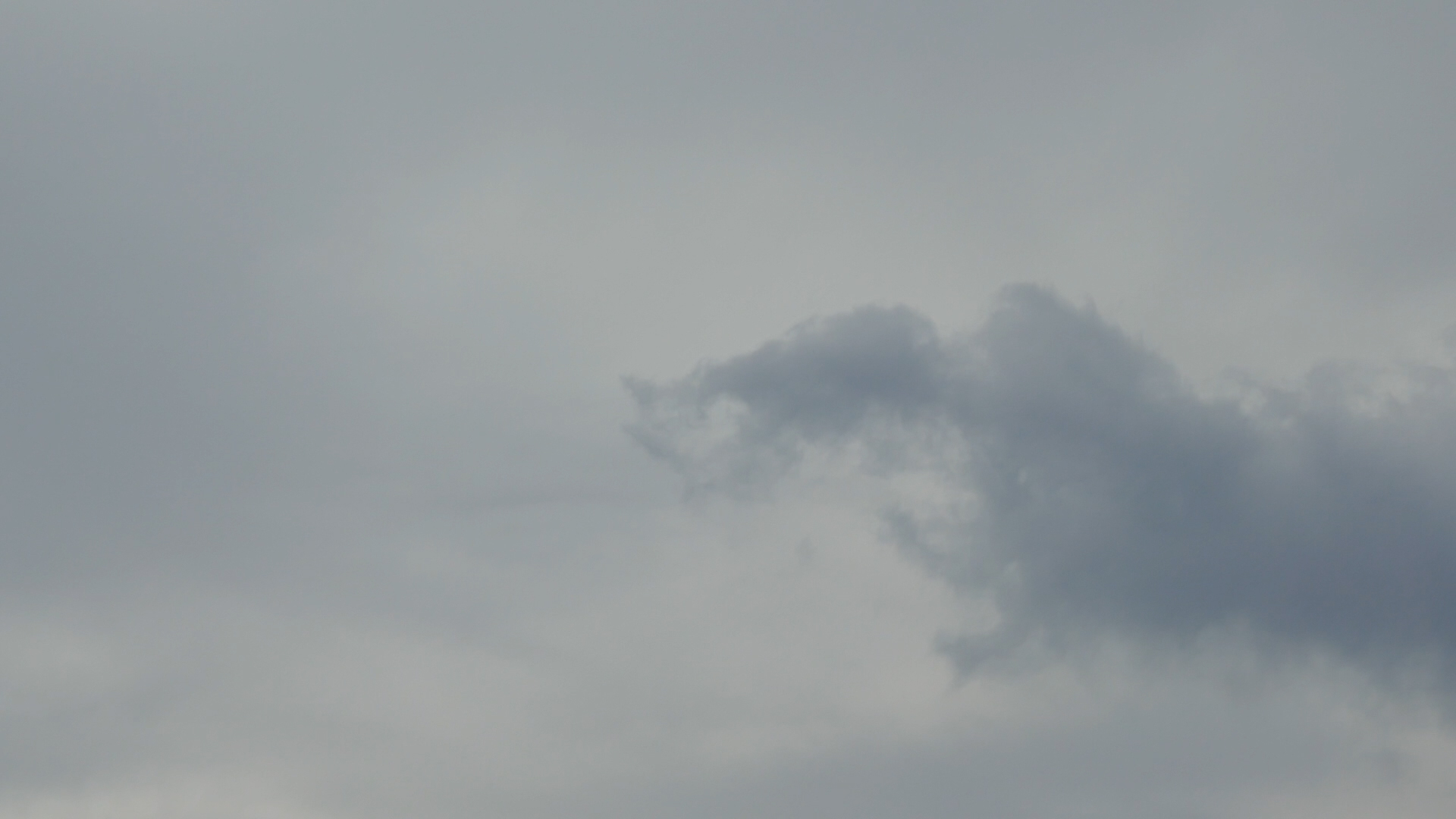 2023-09 grau schattiert (Fieldrecording Video)