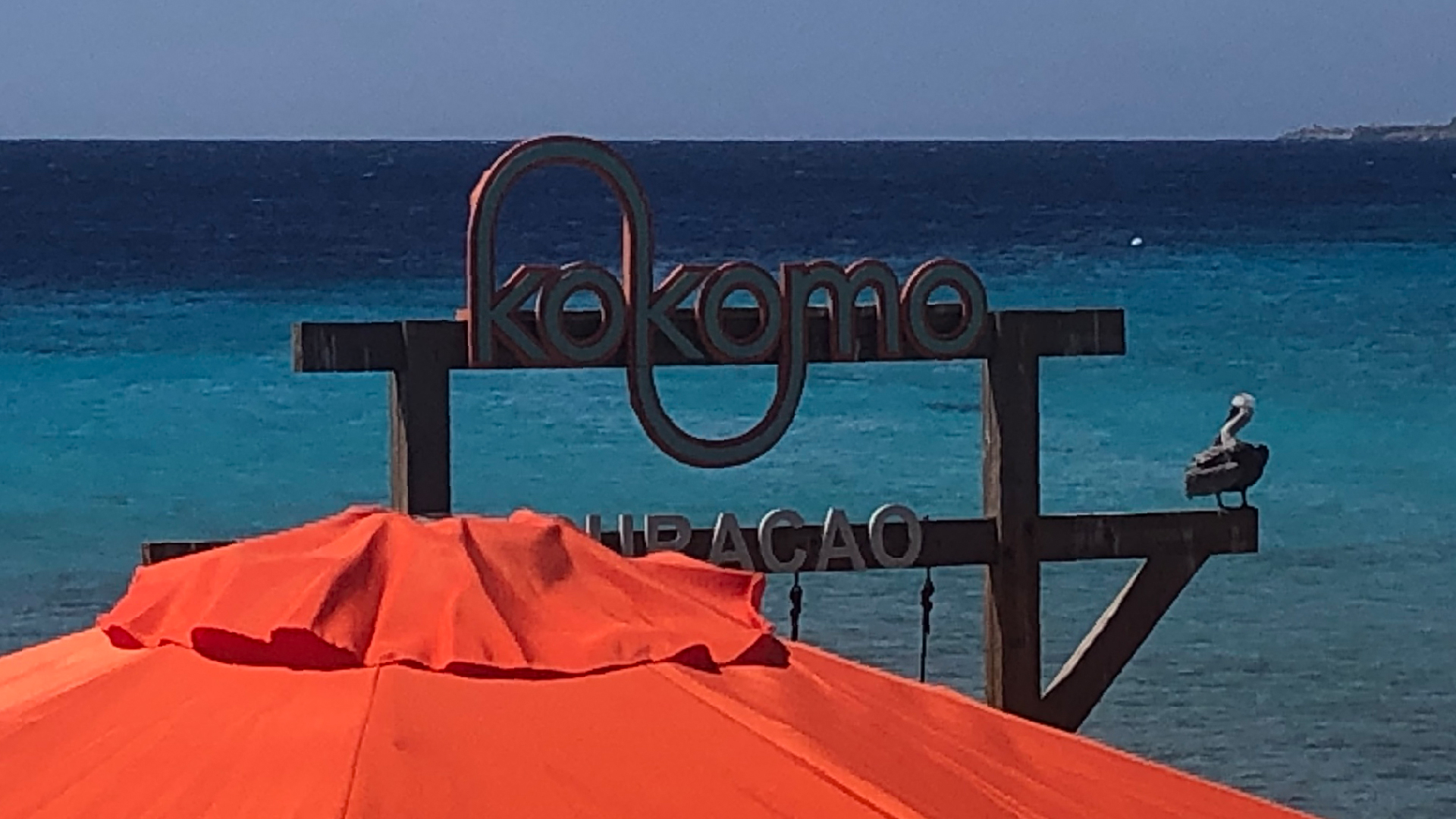 2025-11 Marazul Dive Reseort (Foto, Video)