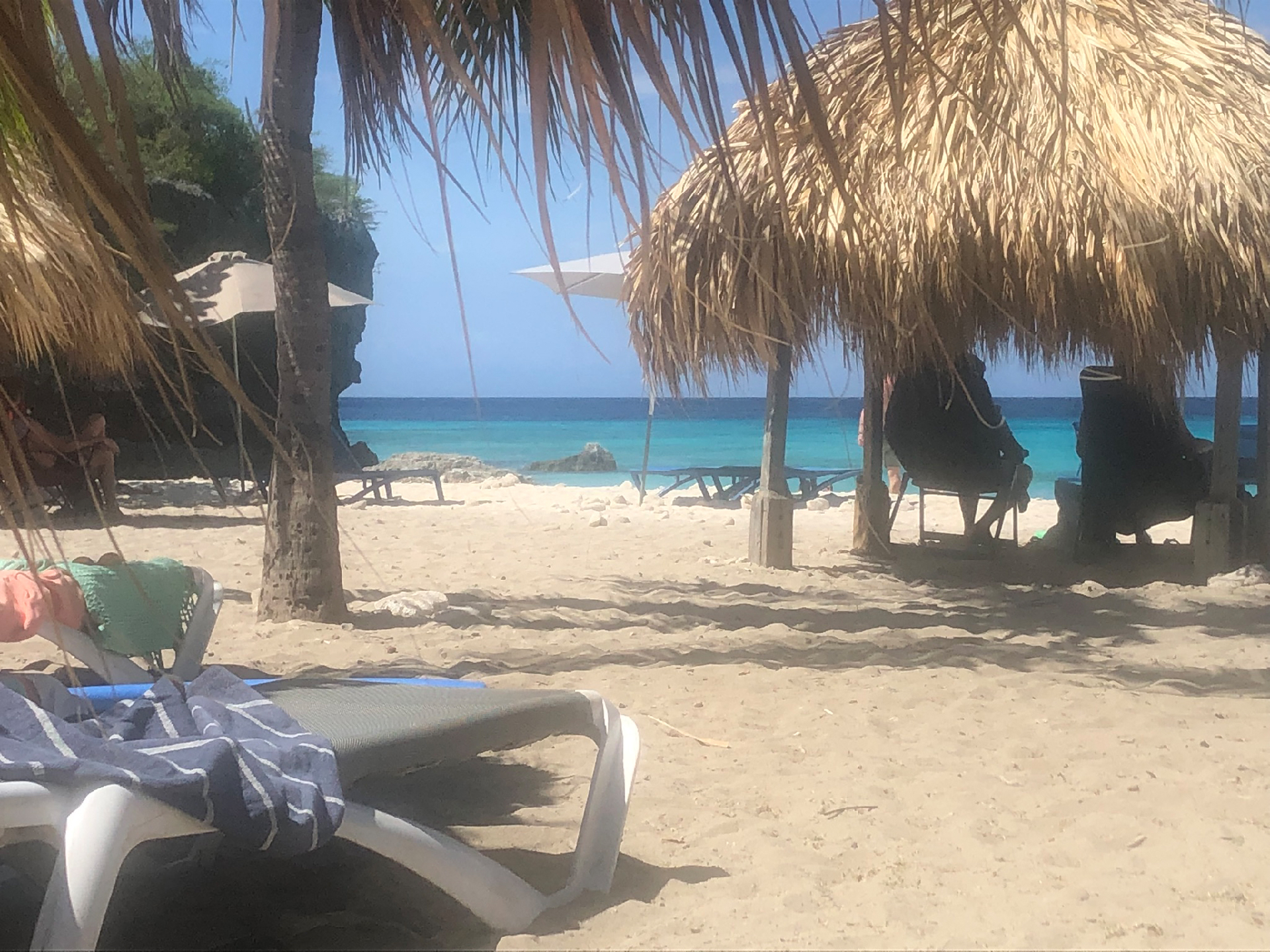 2025-11 Marazul Dive Reseort (Foto, Video)