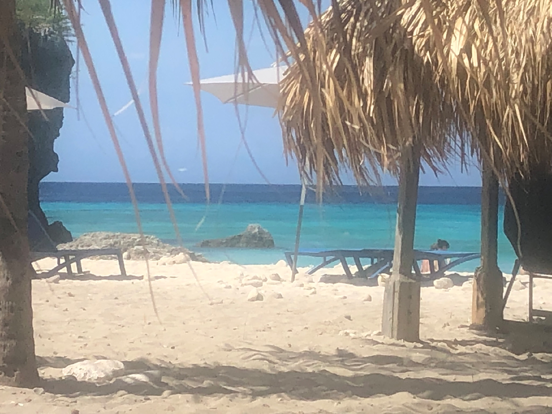 2025-11 Marazul Dive Reseort (Foto, Video)