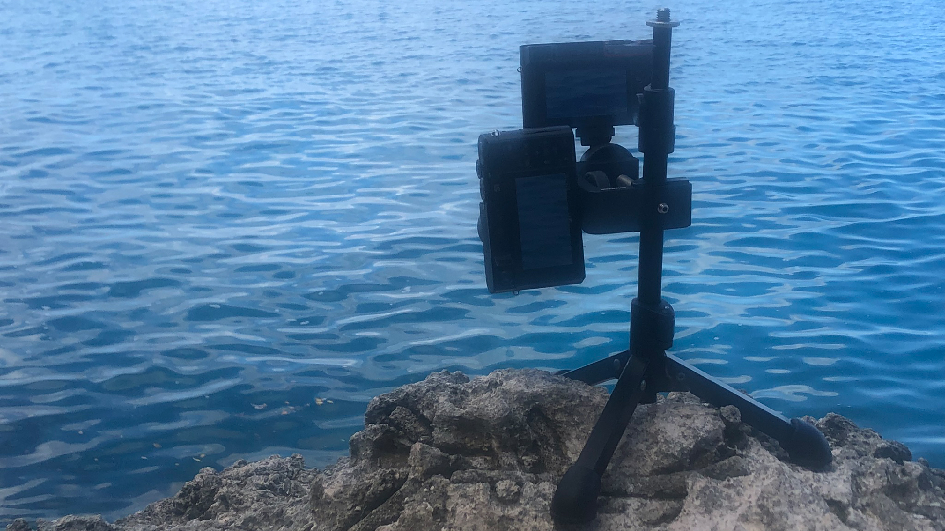 2025-11 Marazul Dive Reseort (Foto, Video)