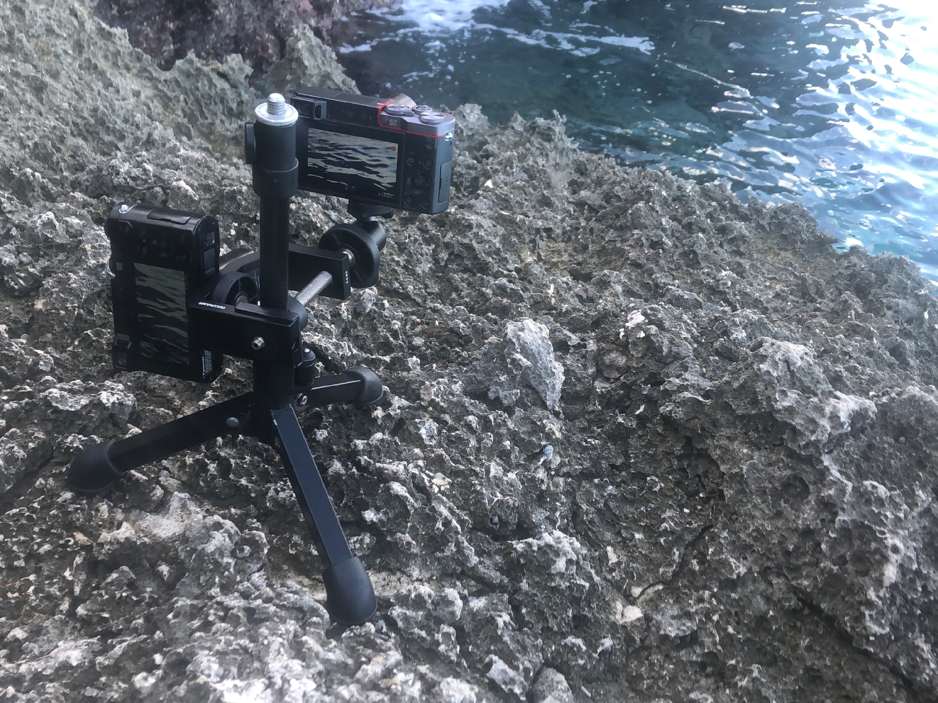 2025-11 Marazul Dive Reseort (Foto, Video)