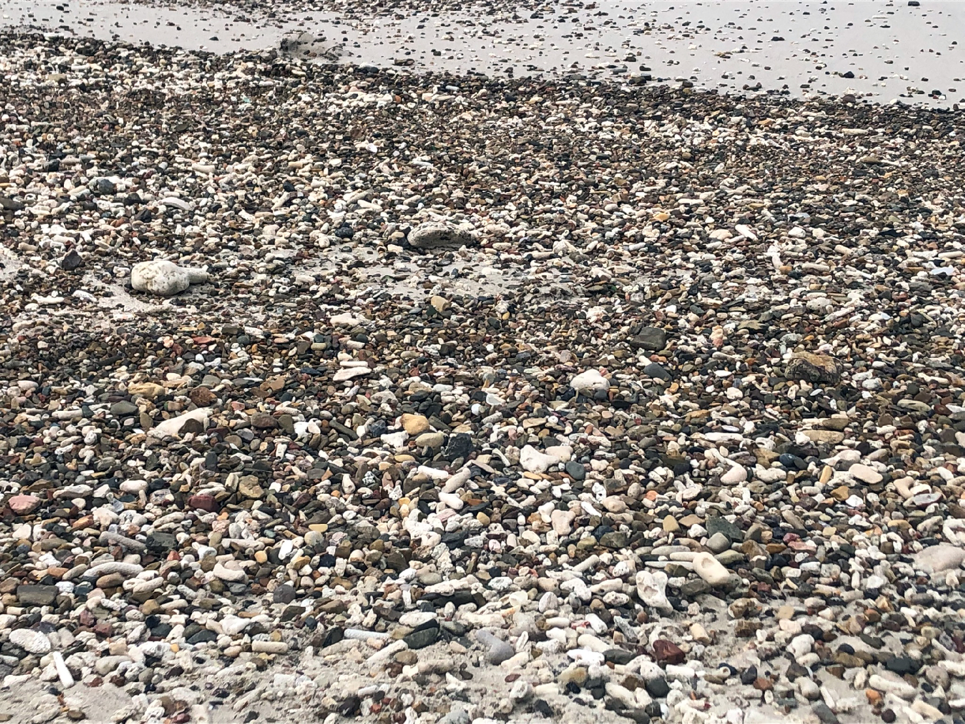 2025-11 Marazul Dive Reseort (Foto, Video)