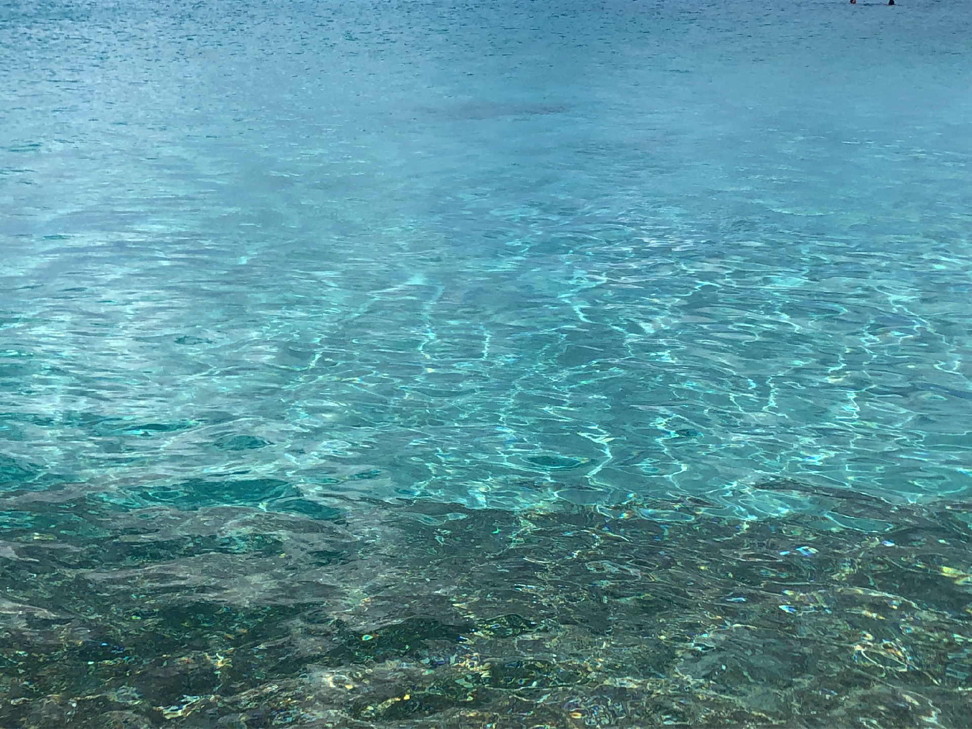 2025-11 Marazul Dive Reseort (Foto, Video)