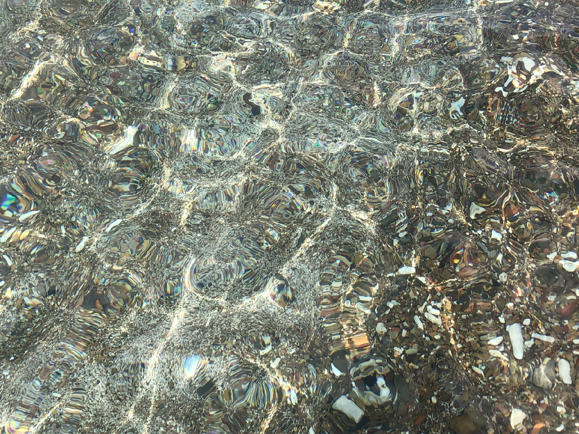 2025-11 Marazul Dive Reseort (Foto, Video)