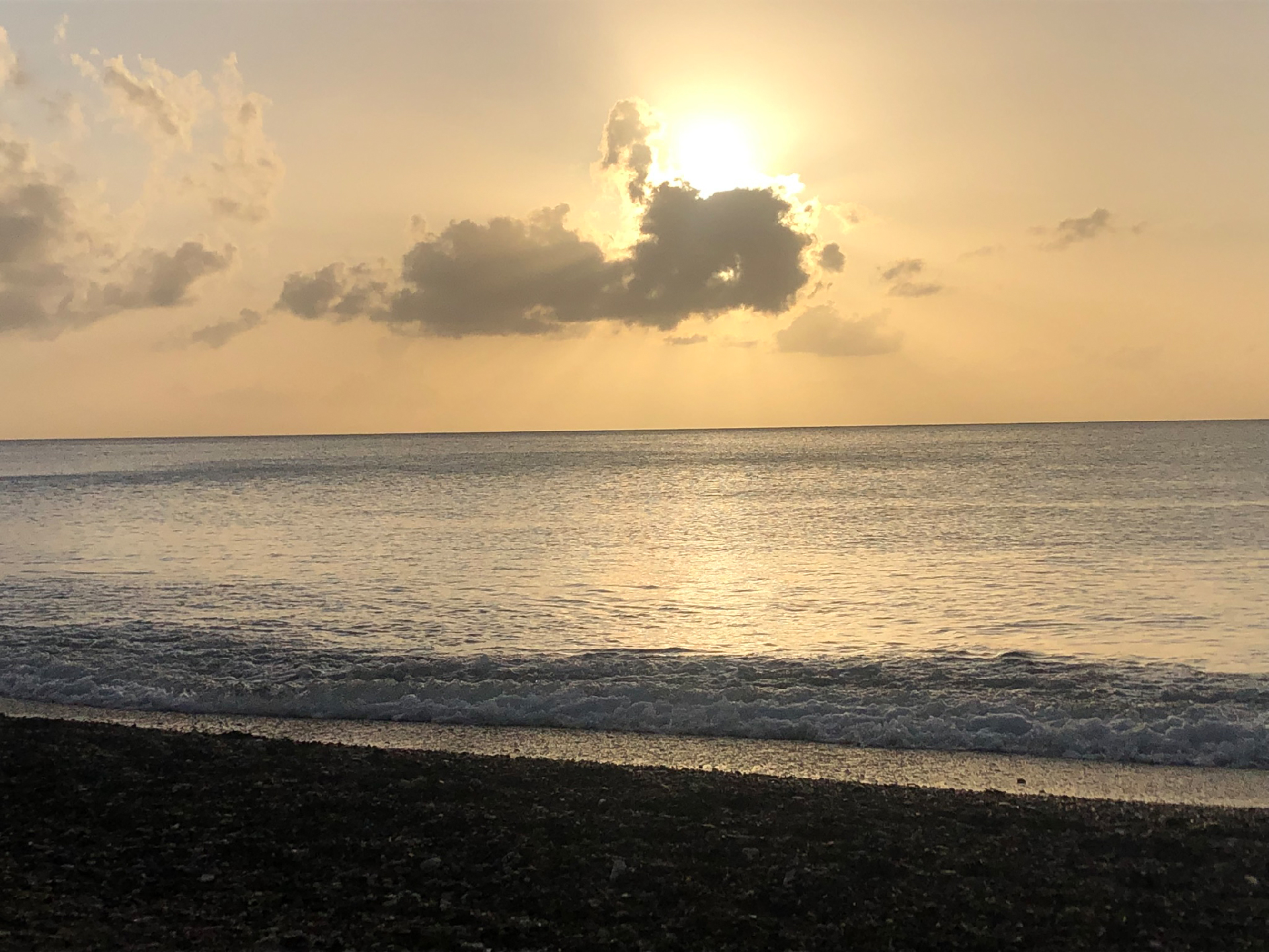 2025-11 Marazul Dive Reseort (Foto, Video)