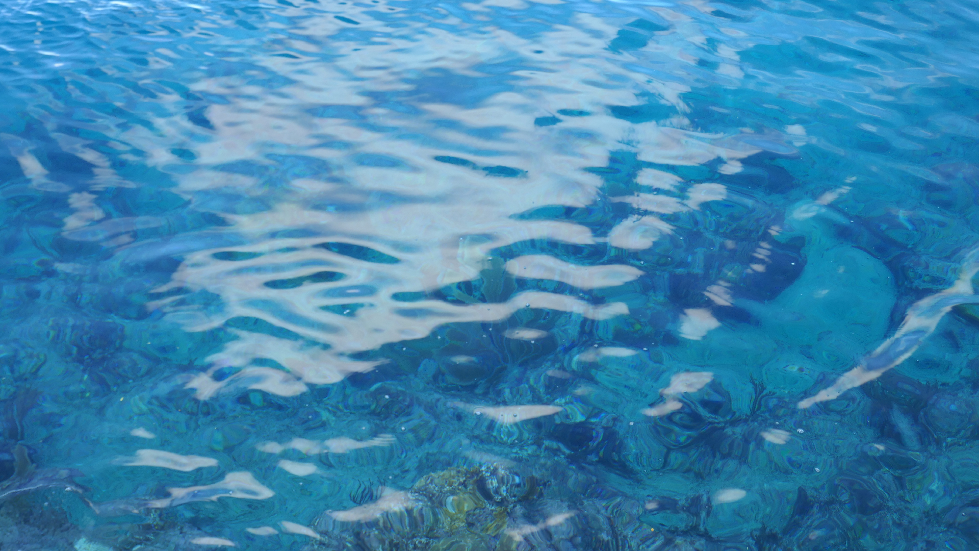 2025-11 Marazul Dive Reseort (Foto, Video)