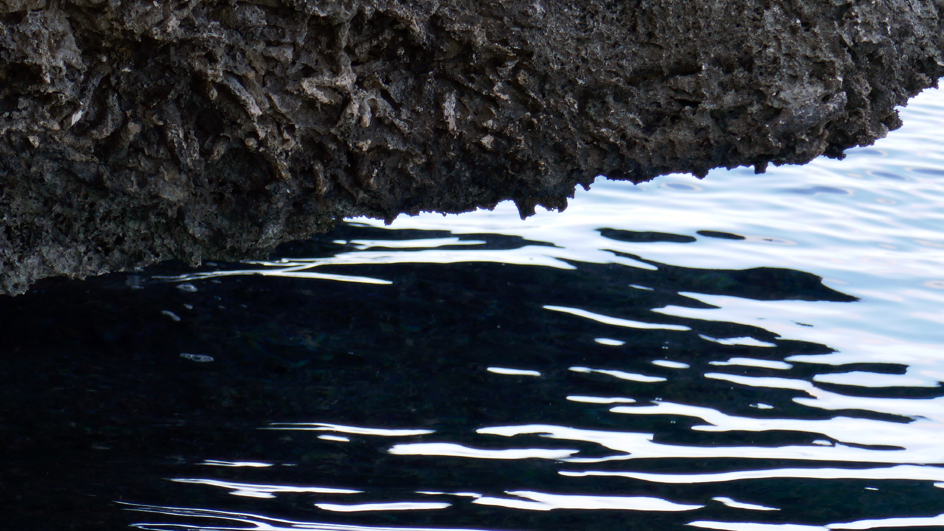 2025-11 Marazul Dive Reseort (Foto, Video)