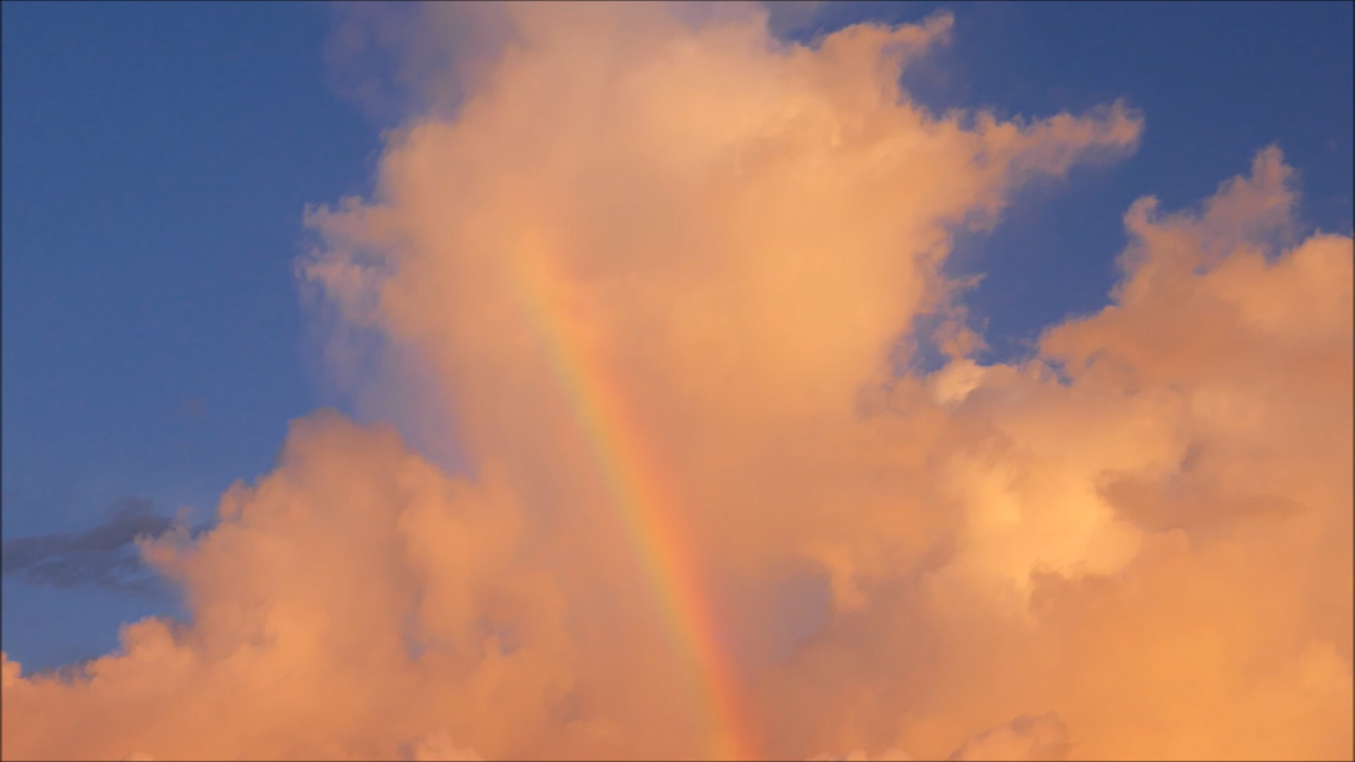 2025-11-06 08 Uhr 45 Marazul Dive Resort (Fieldrecording Video, Kamera 1)