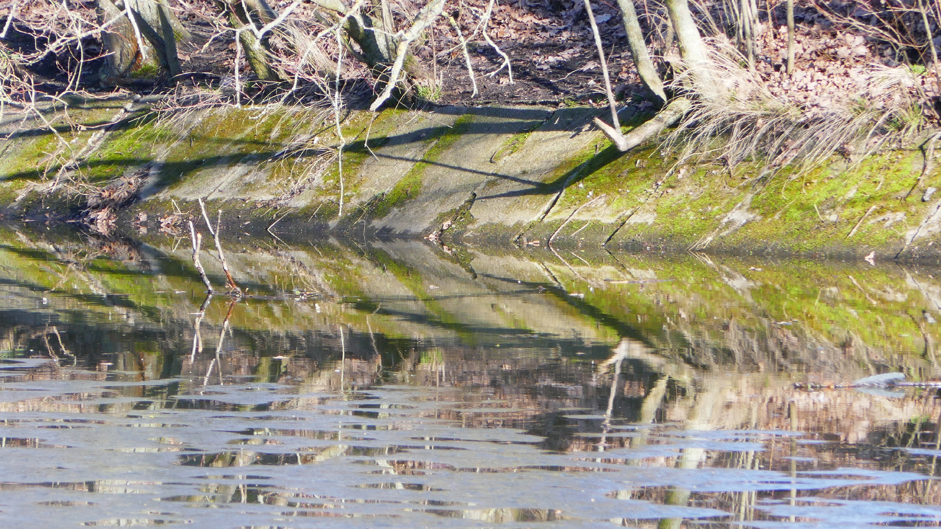 2026-03-03 Eisschmelze 1 (Fieldrecording Video)