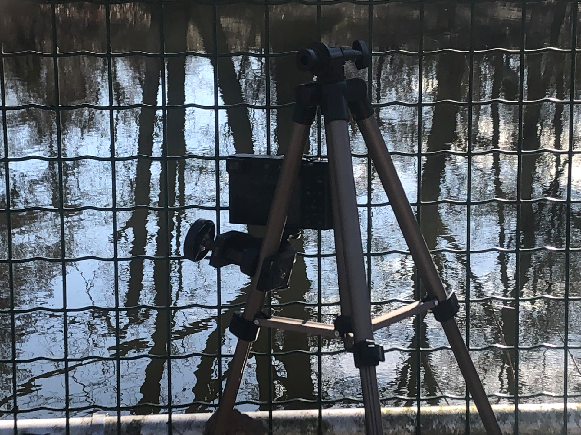 2026-03-04 Eisschmelze 2 (Fieldrecording Video)