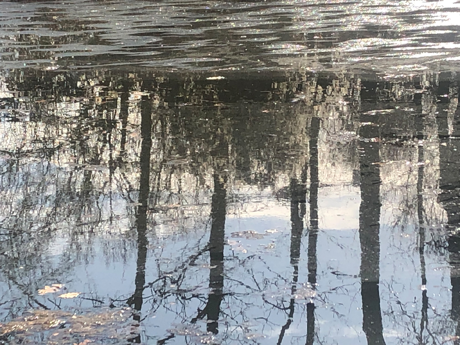 2026-03-04 Eisschmelze 2 (Fieldrecording Video)