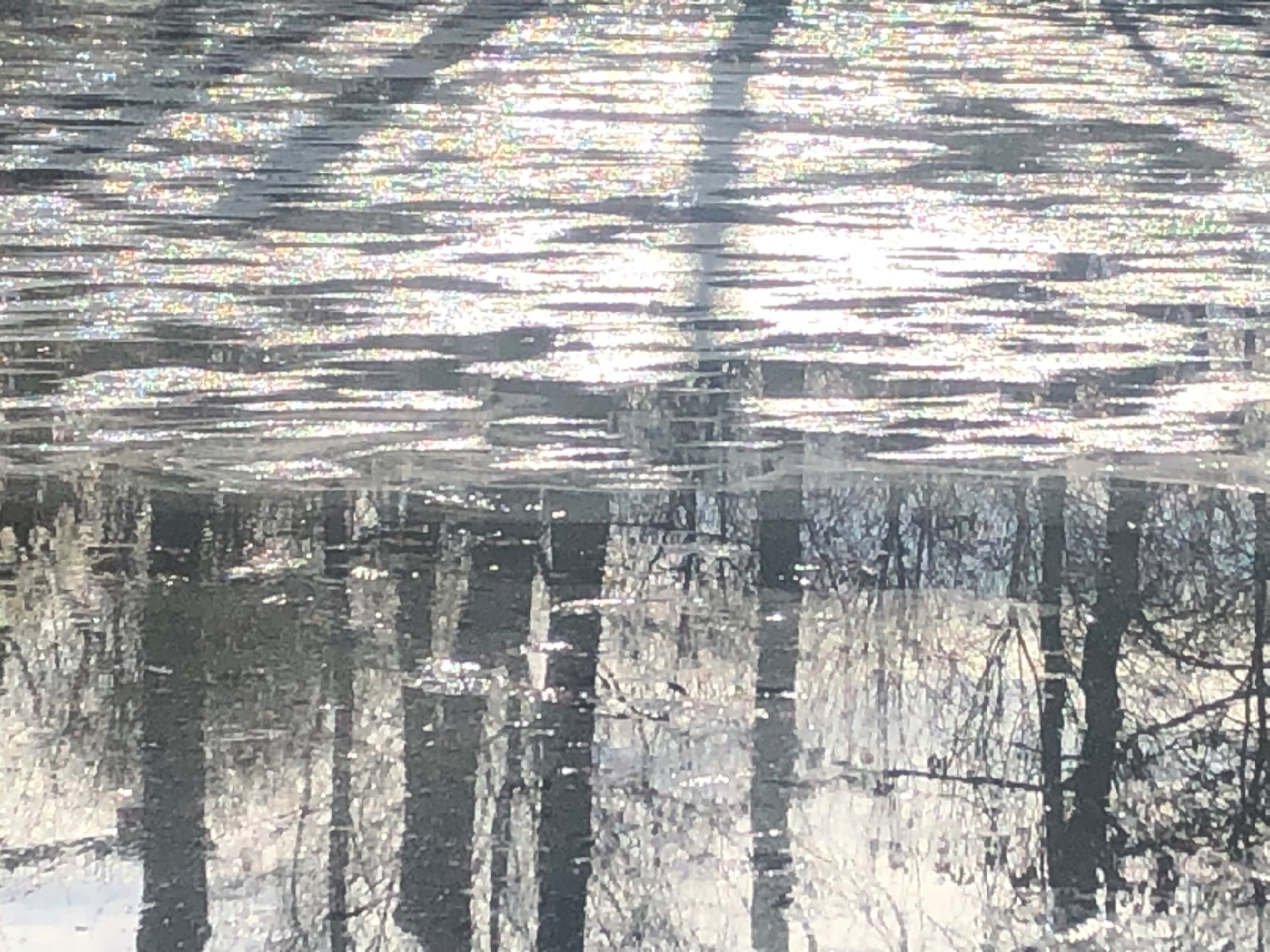 2026-03-04 Eisschmelze 2 (Fieldrecording Video)