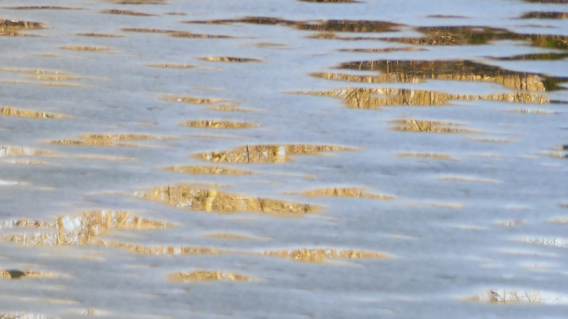 2026-03-04 Eisschmelze 3 (Fieldrecording Video)