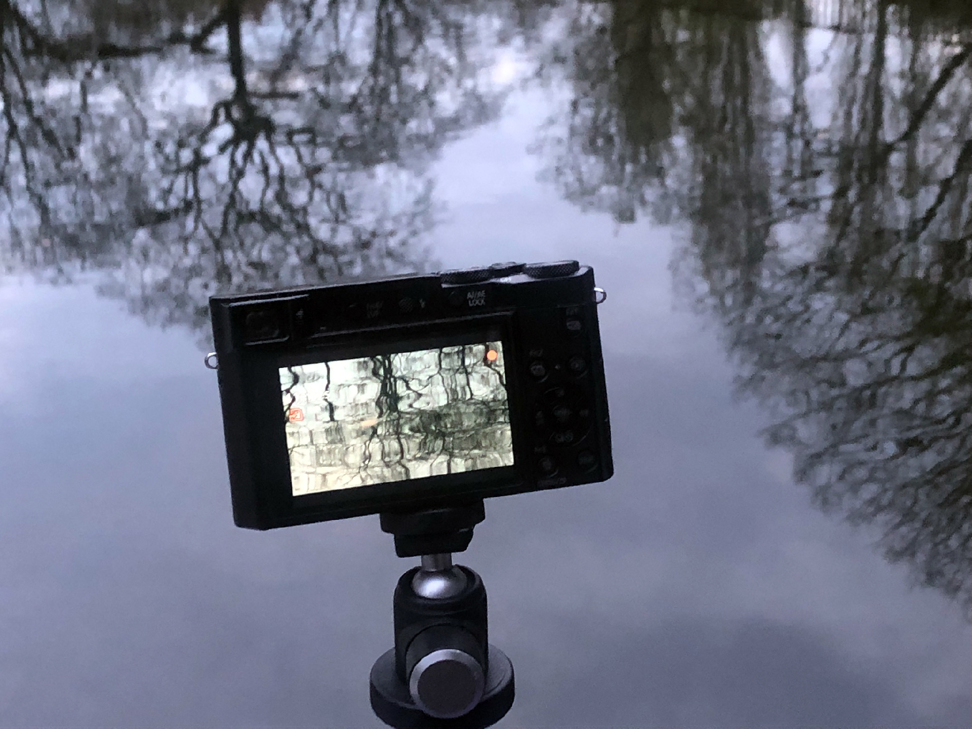 2026-04 Kaleidoskop (Fieldrecording Video)